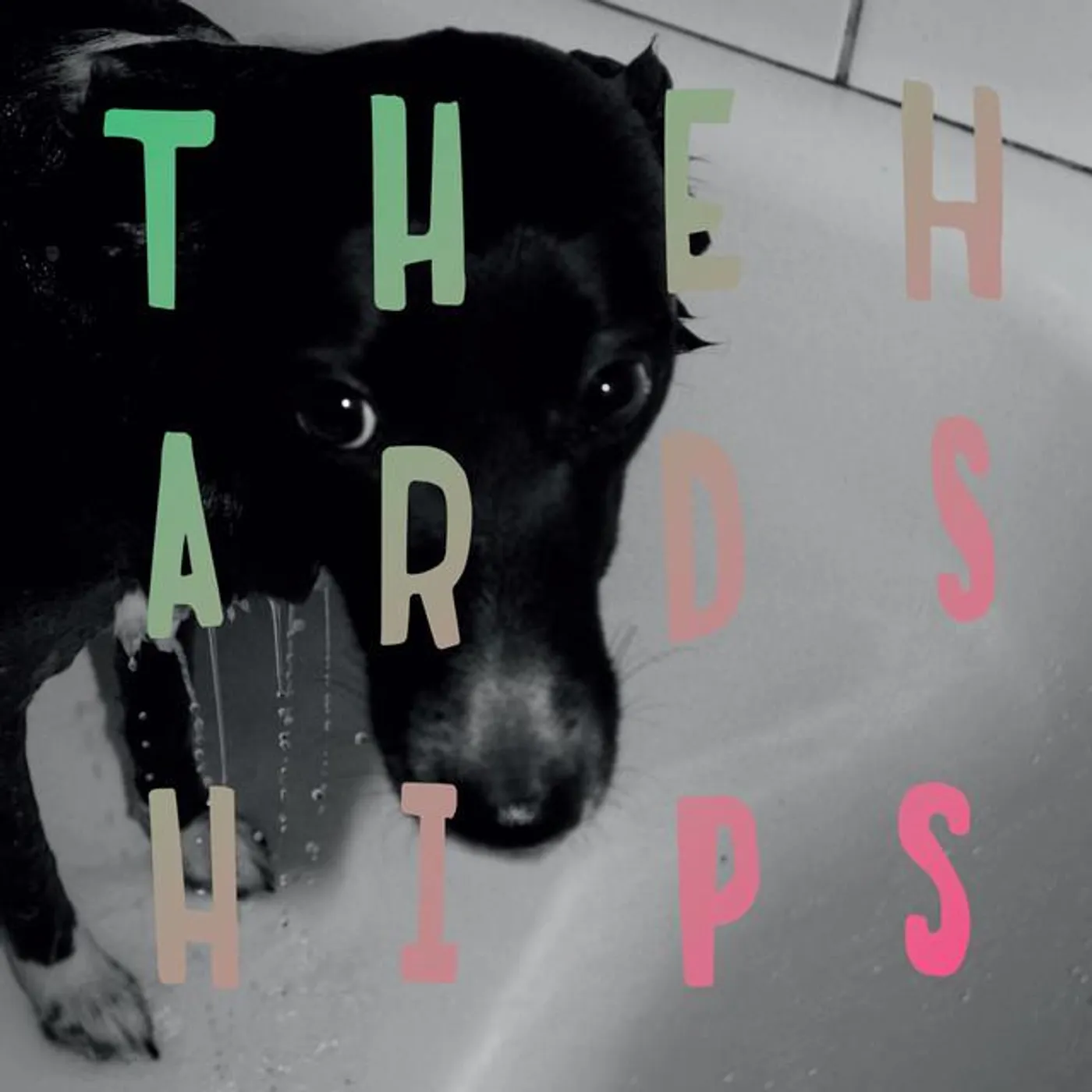 The Hardships