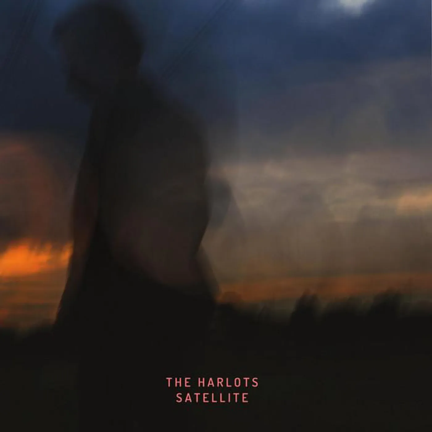 The Harlots