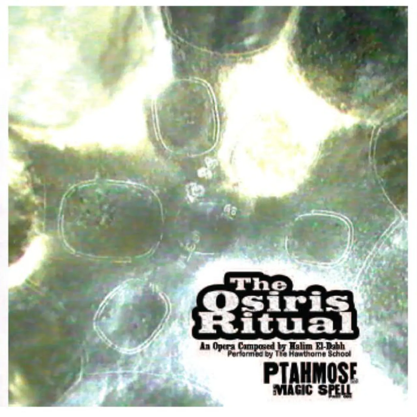 The Hawthorne School Brand Page