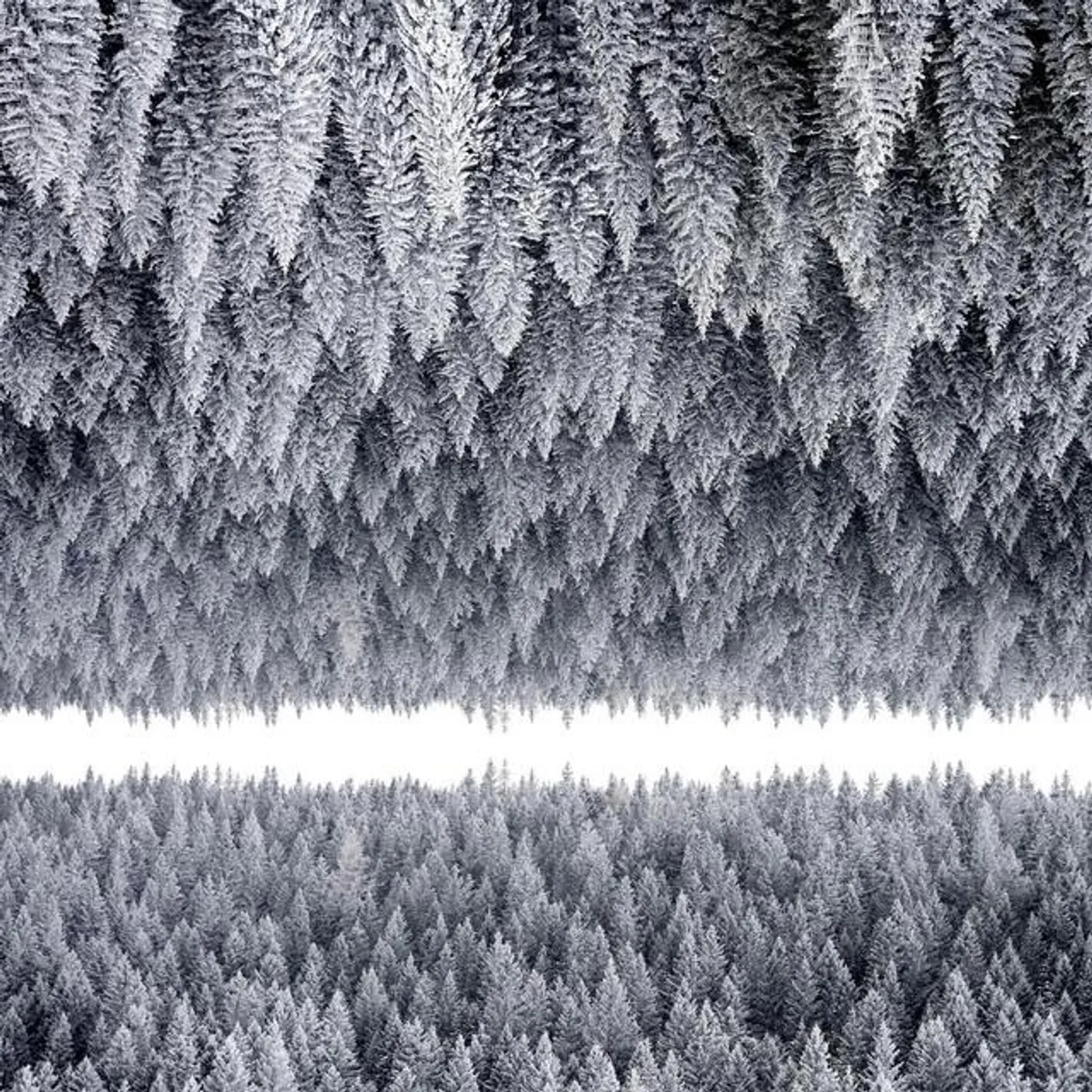 The Heads Are Zeros Brand Page