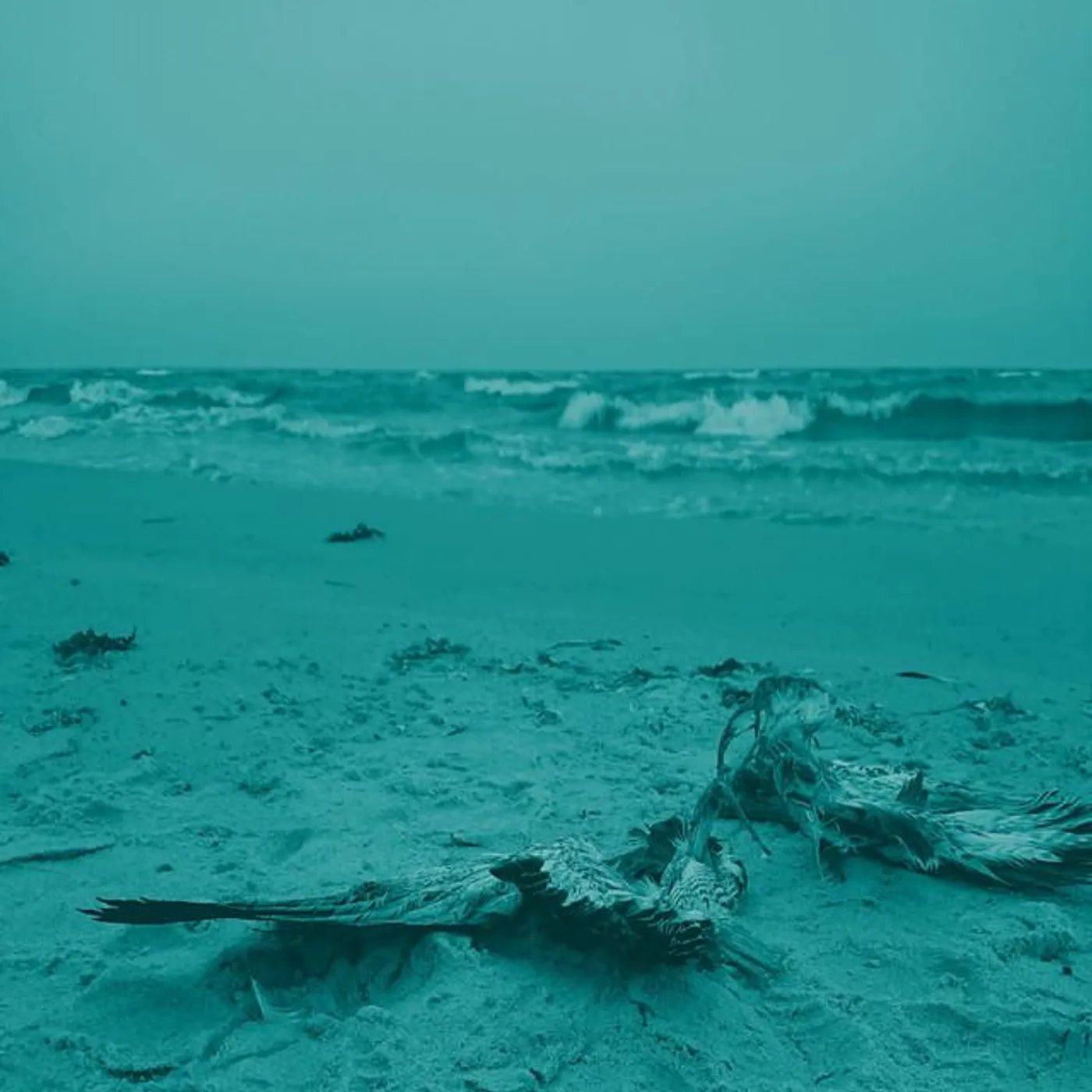 the horizon bleeds