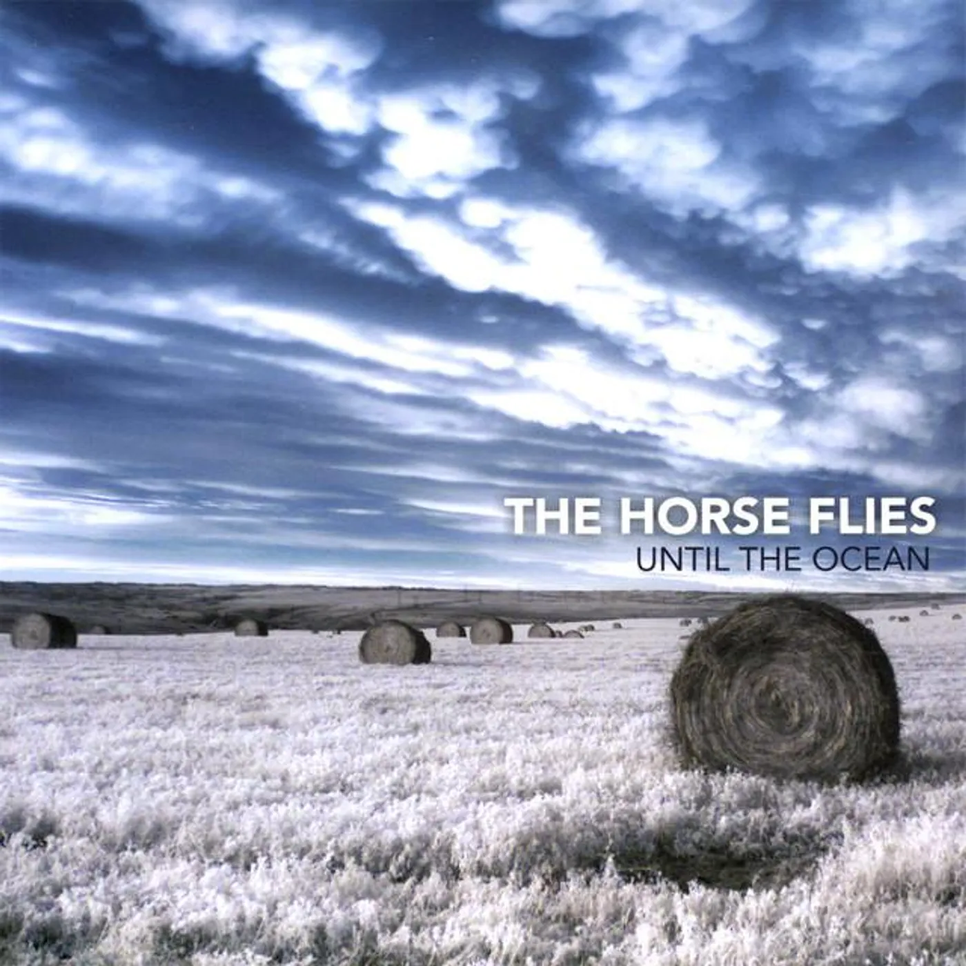 The Horse Flies Brand Page