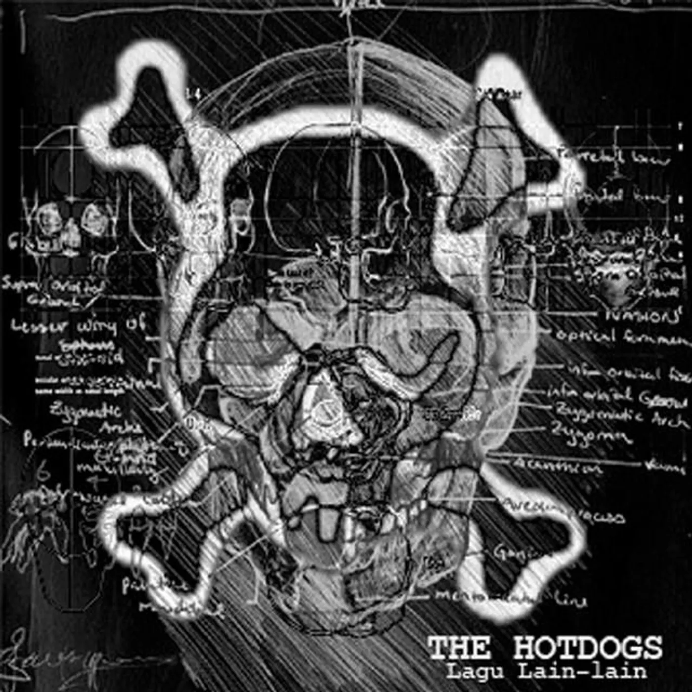 The Hotdogs
