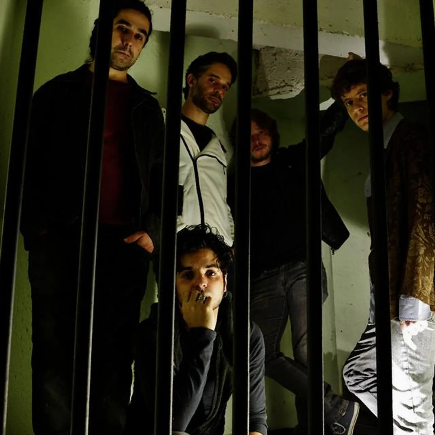The Junkie Dogs