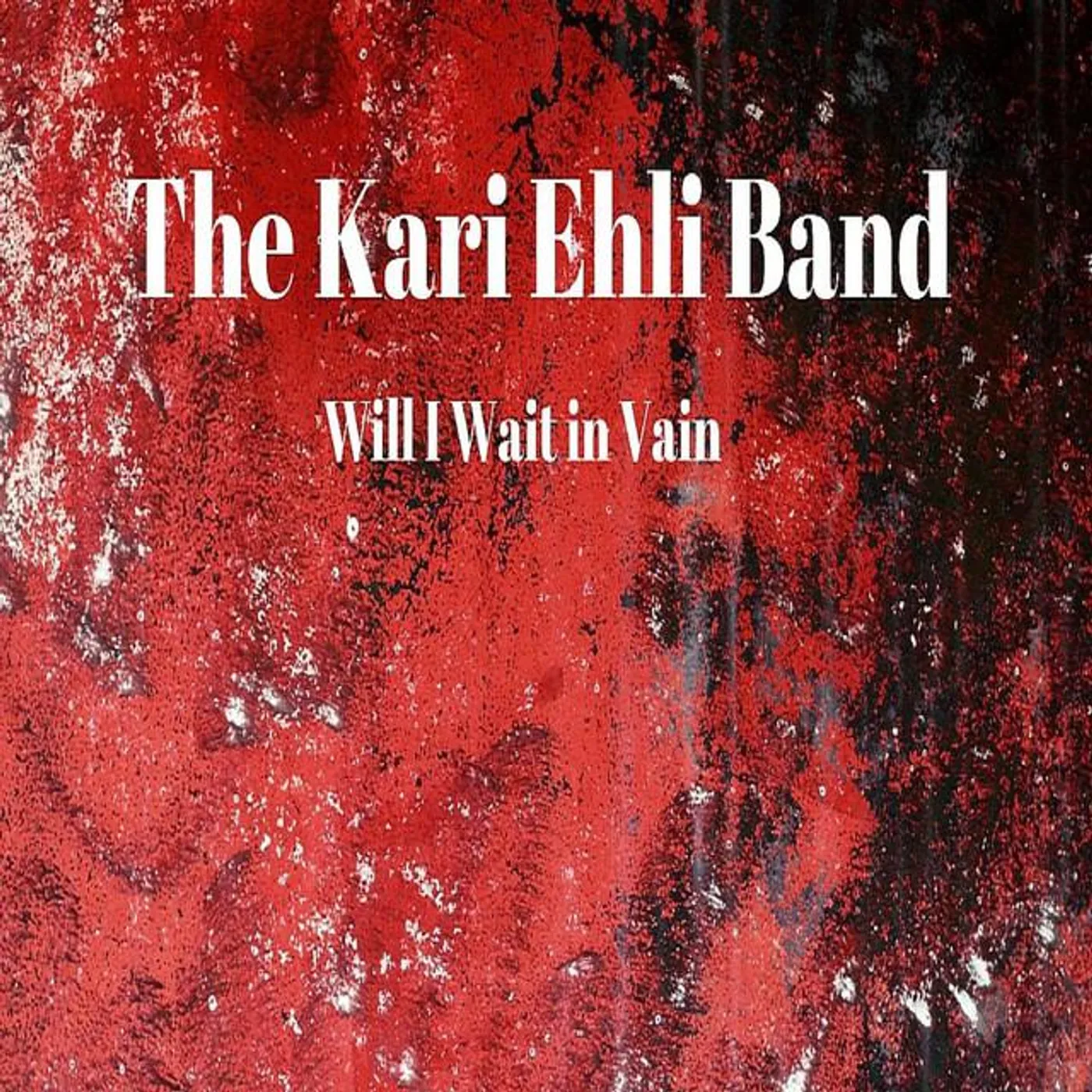 The Kari Ehli Band
