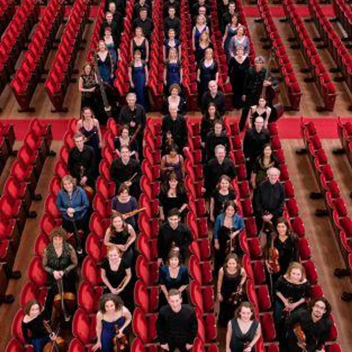 The King's Consort
