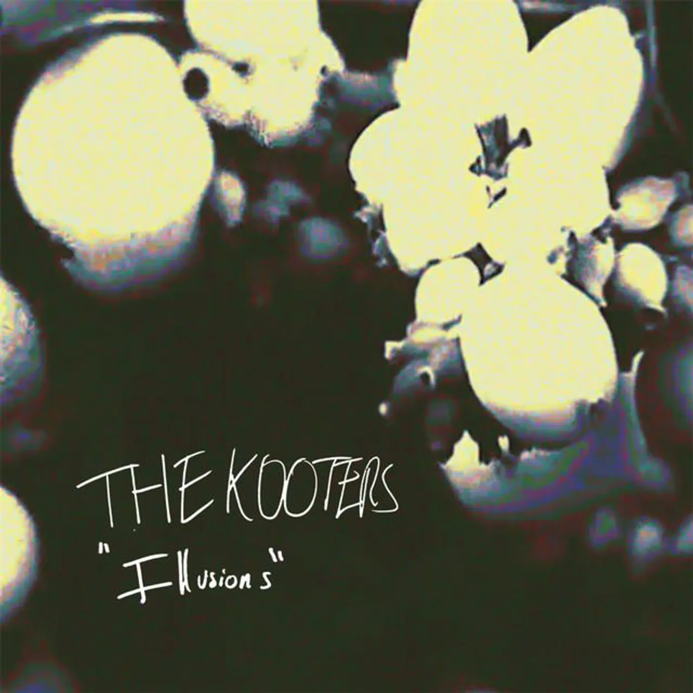 The Kooters