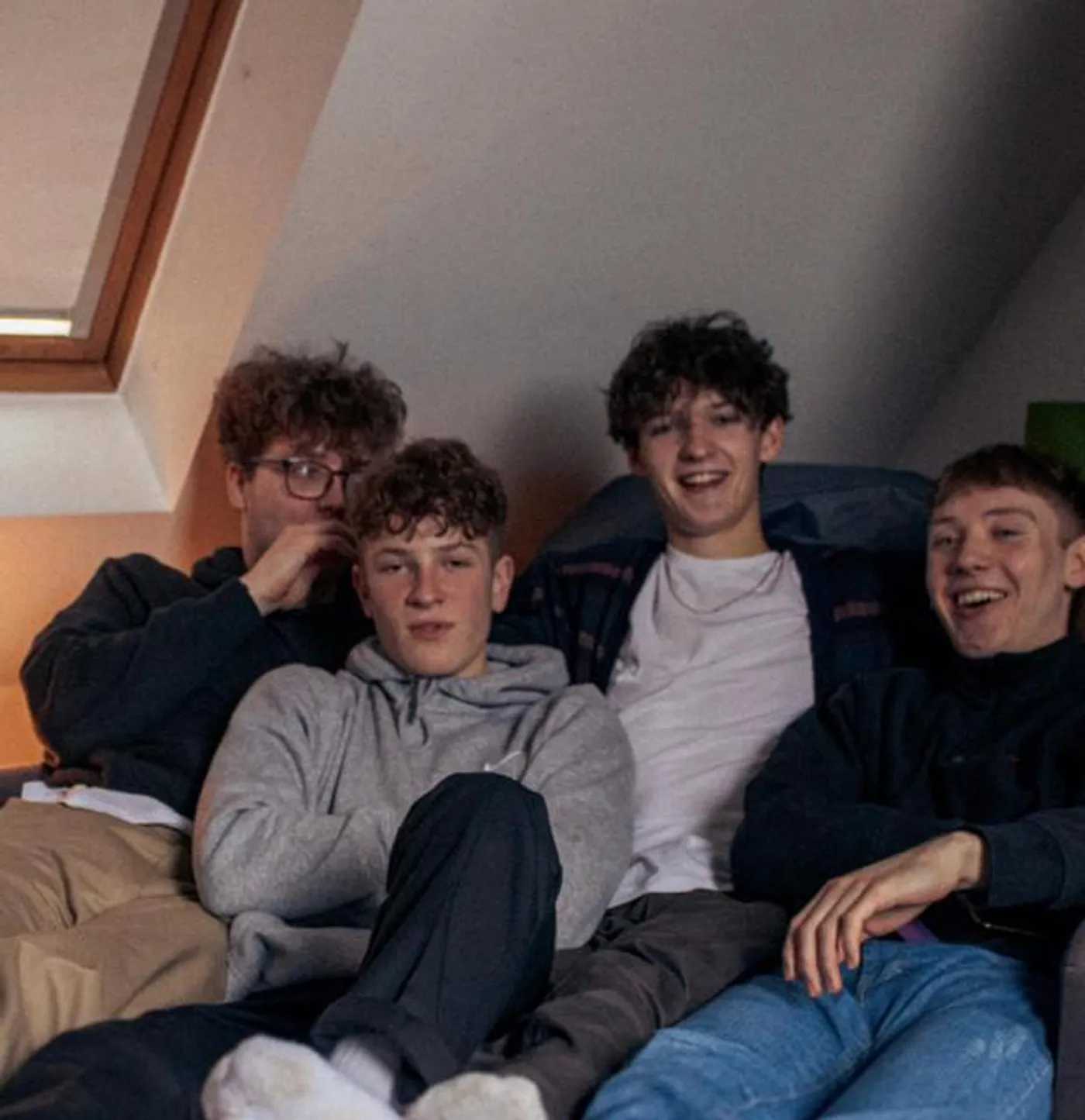 The LEVIS