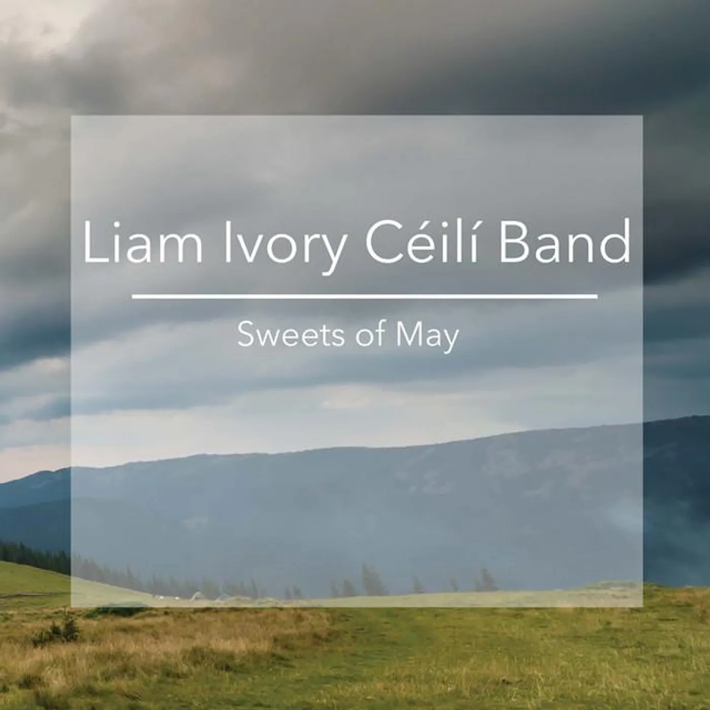 The Liam Ivory Ceili Band