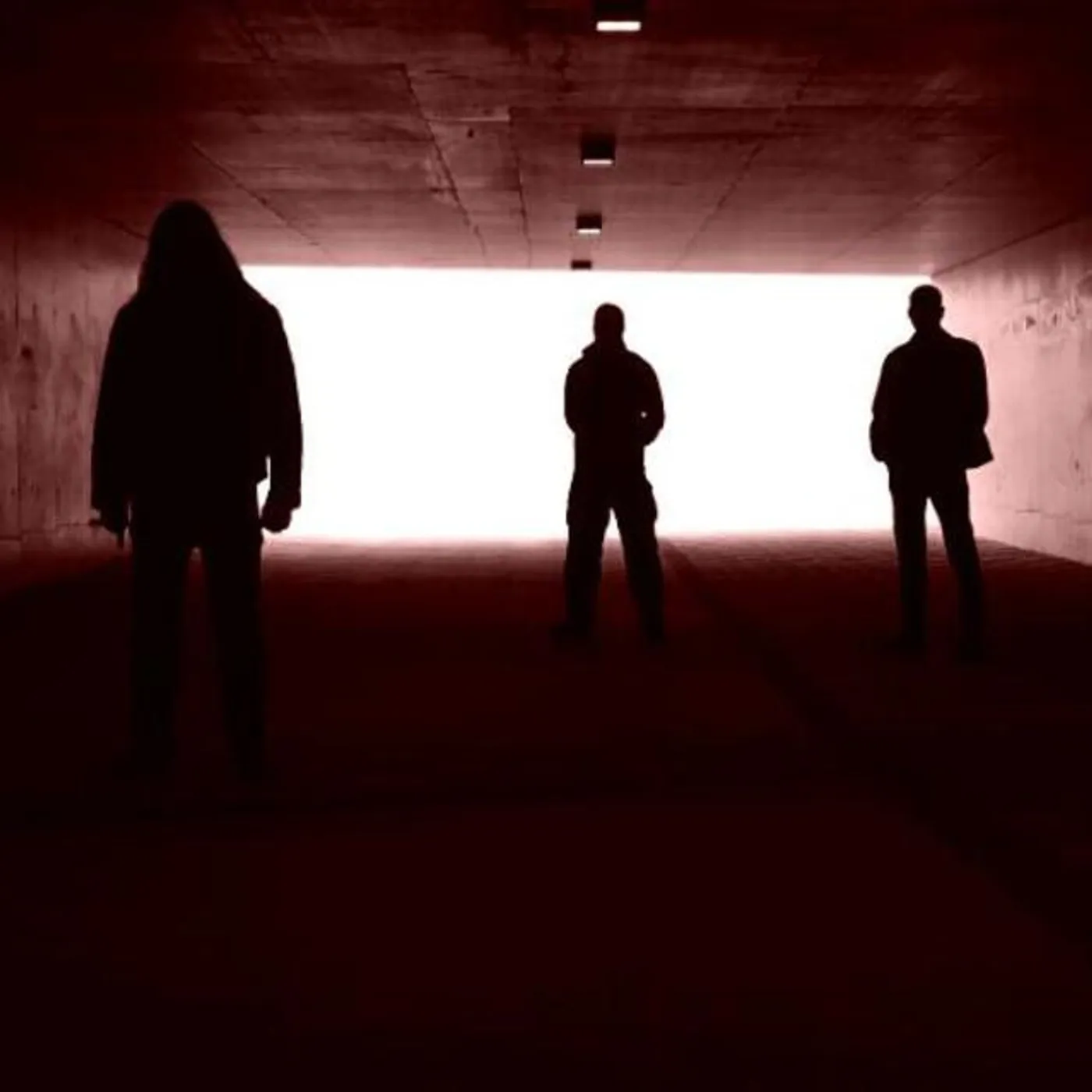 The Lifted Veil Brand Page