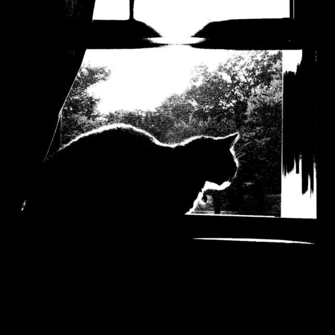 The Lonesome While
