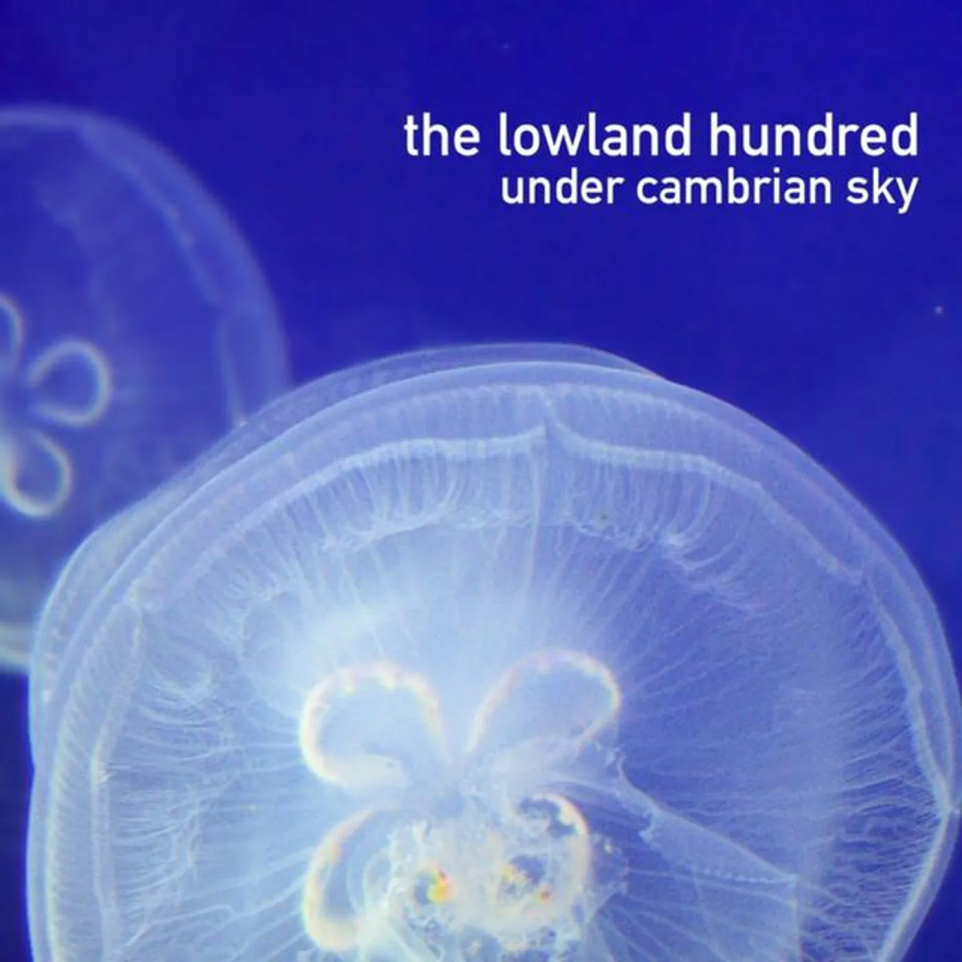 The Lowland Hundred