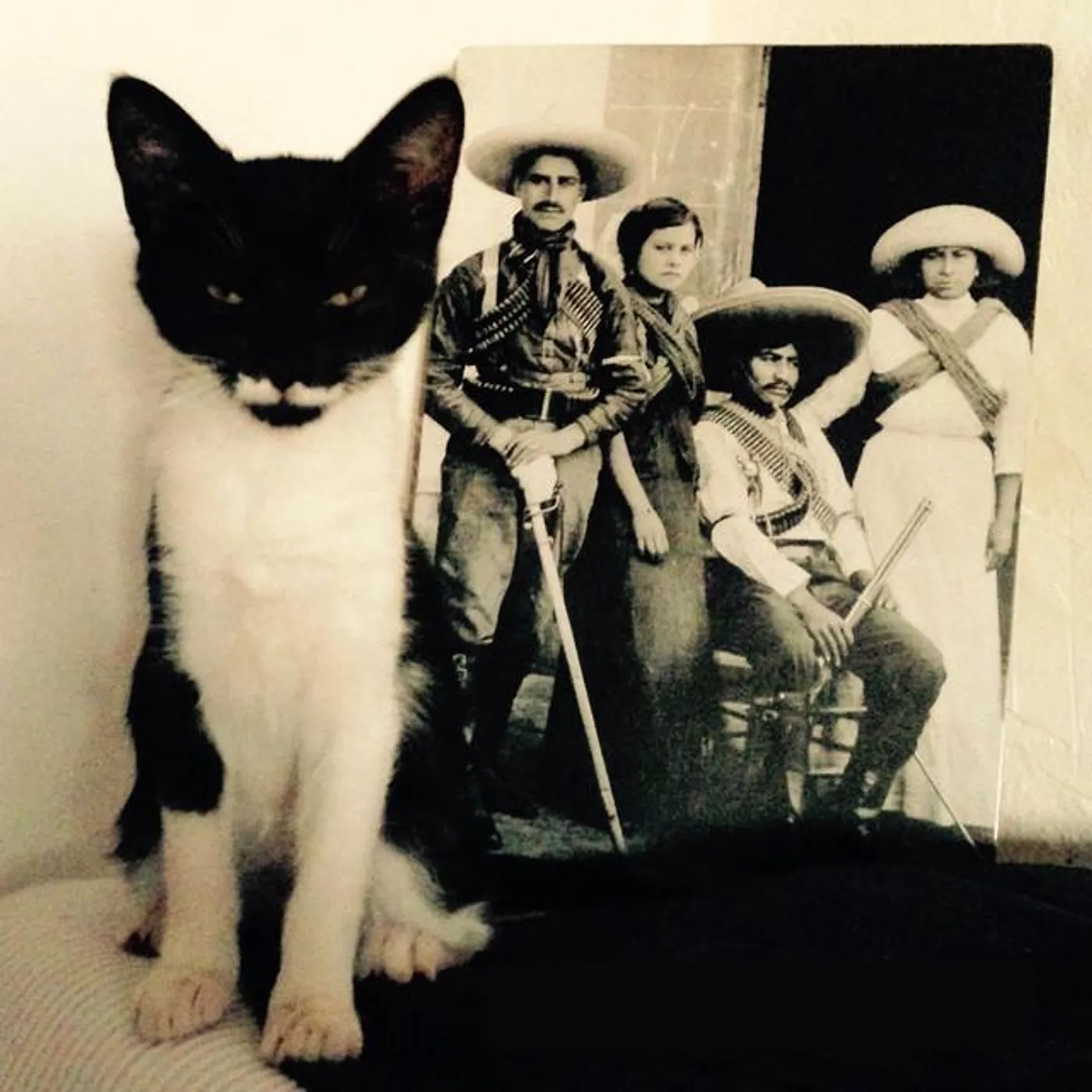 The Penny Black Remedy