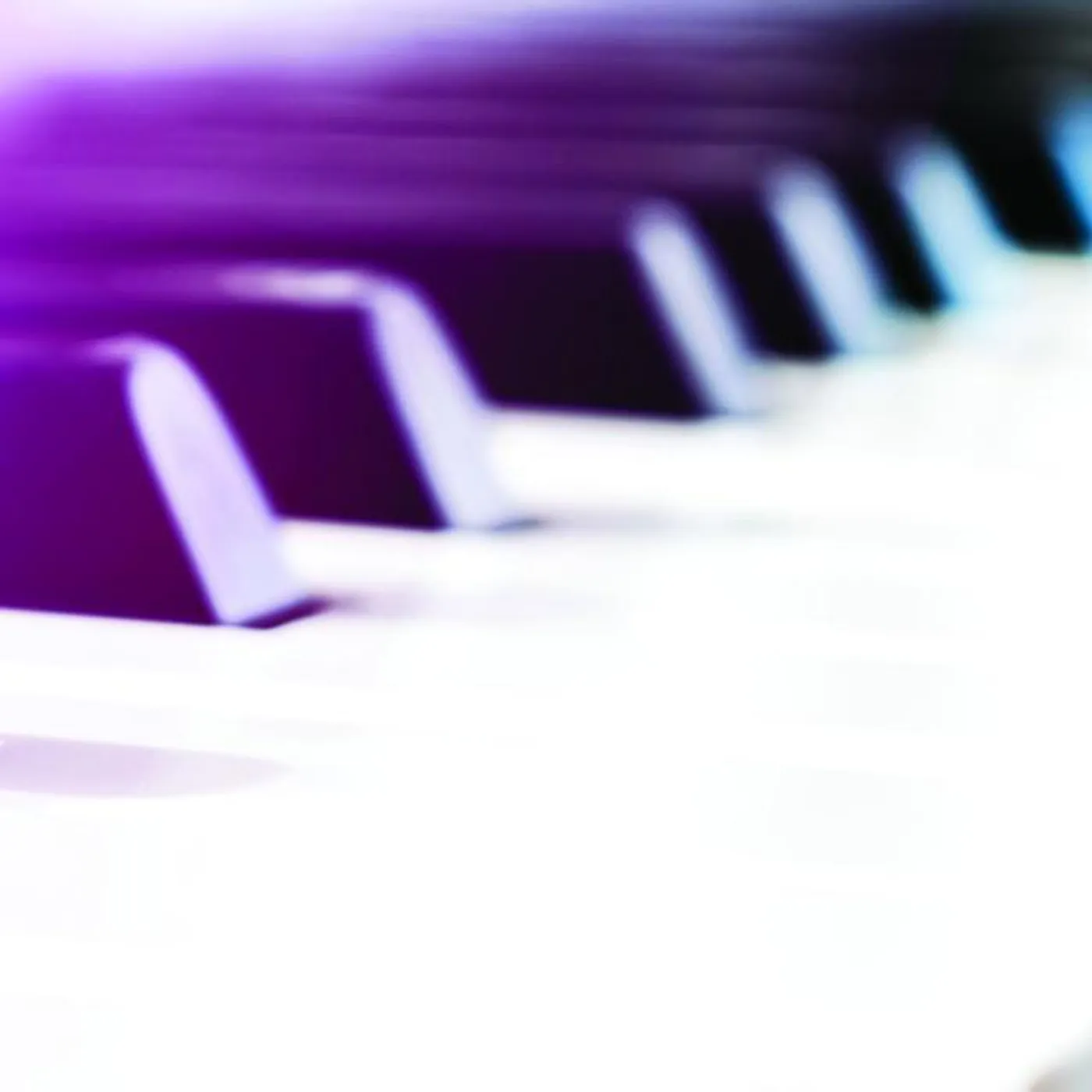 The Piano Brothers Group