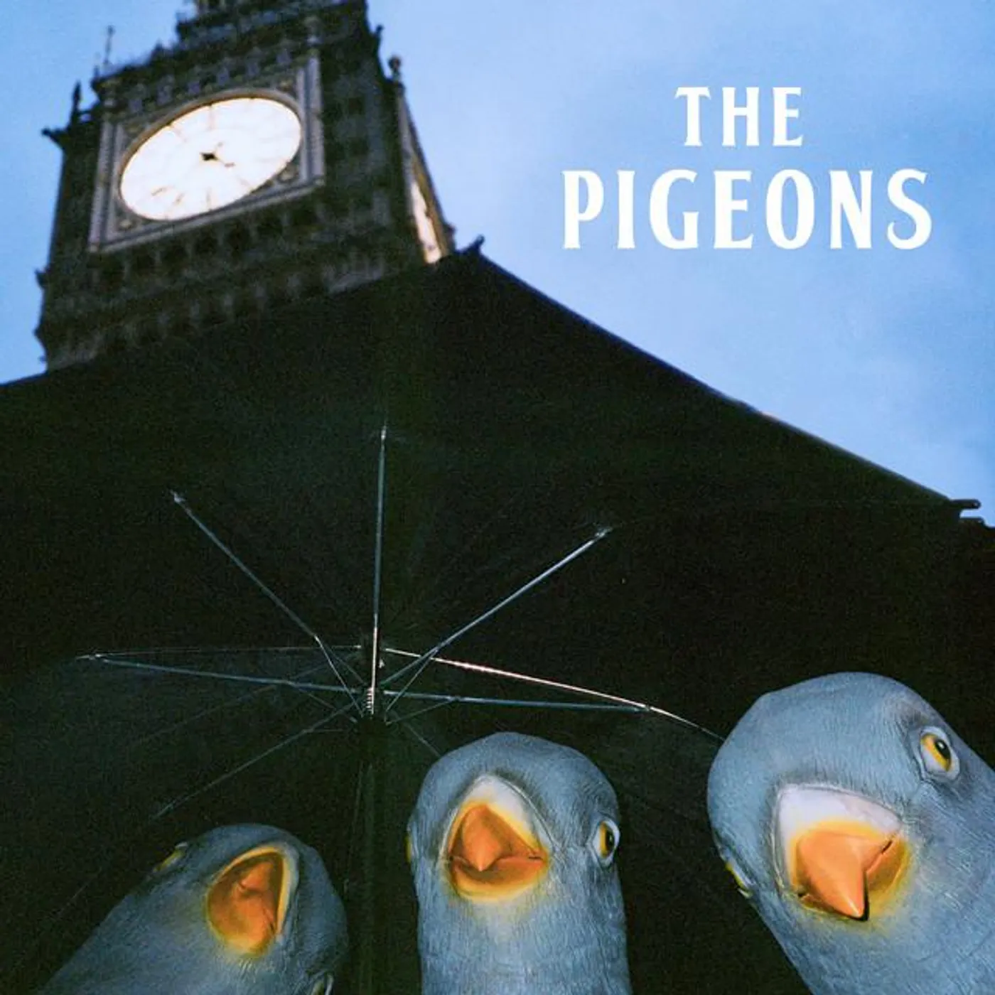 The Pigeons