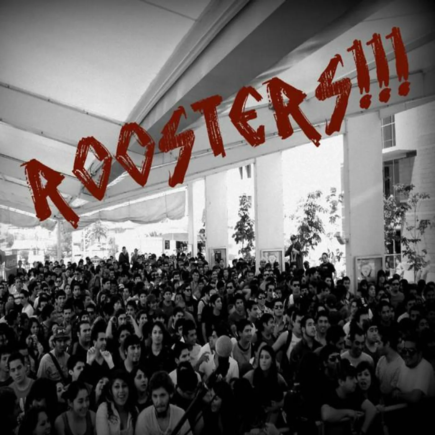 Roosters