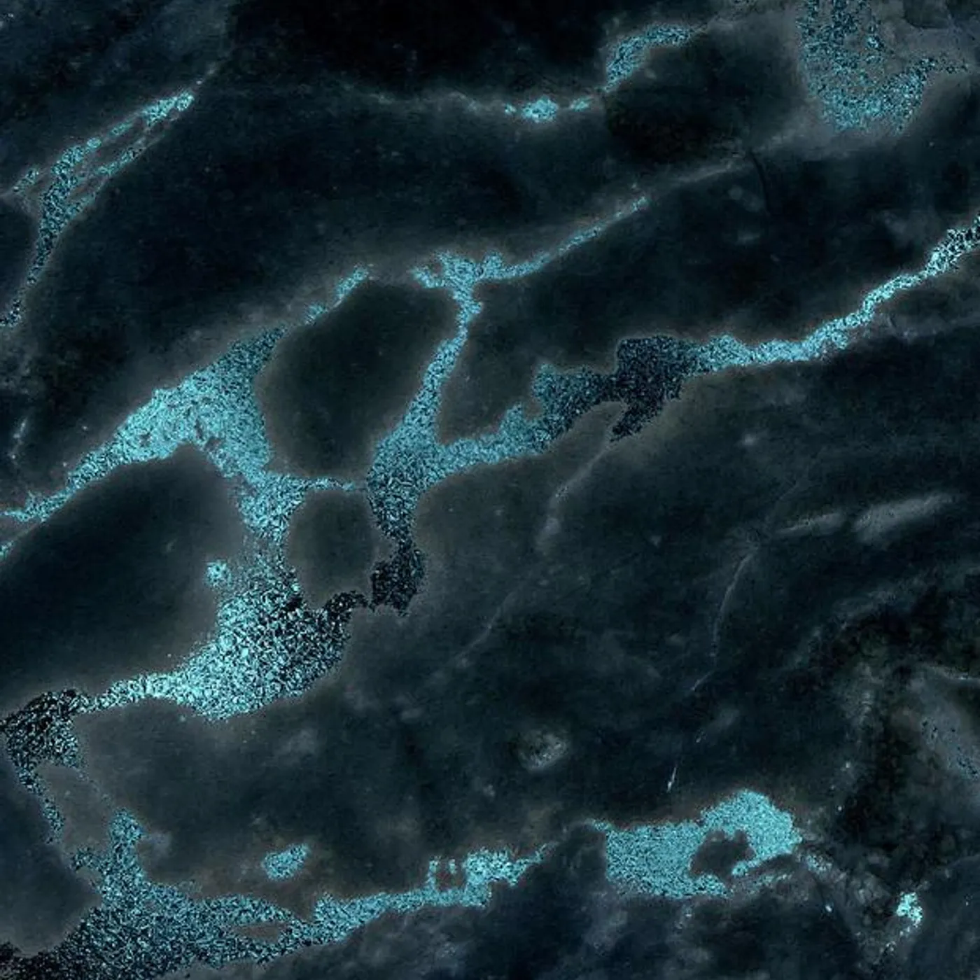 The Royalists Brand Page