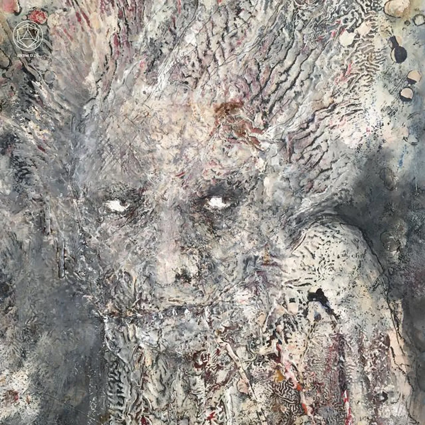 The Stargazer's Assistant