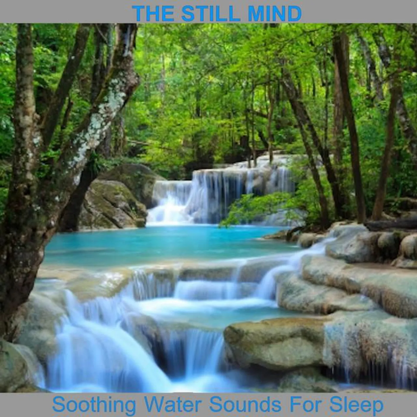 The Still Mind Brand Page