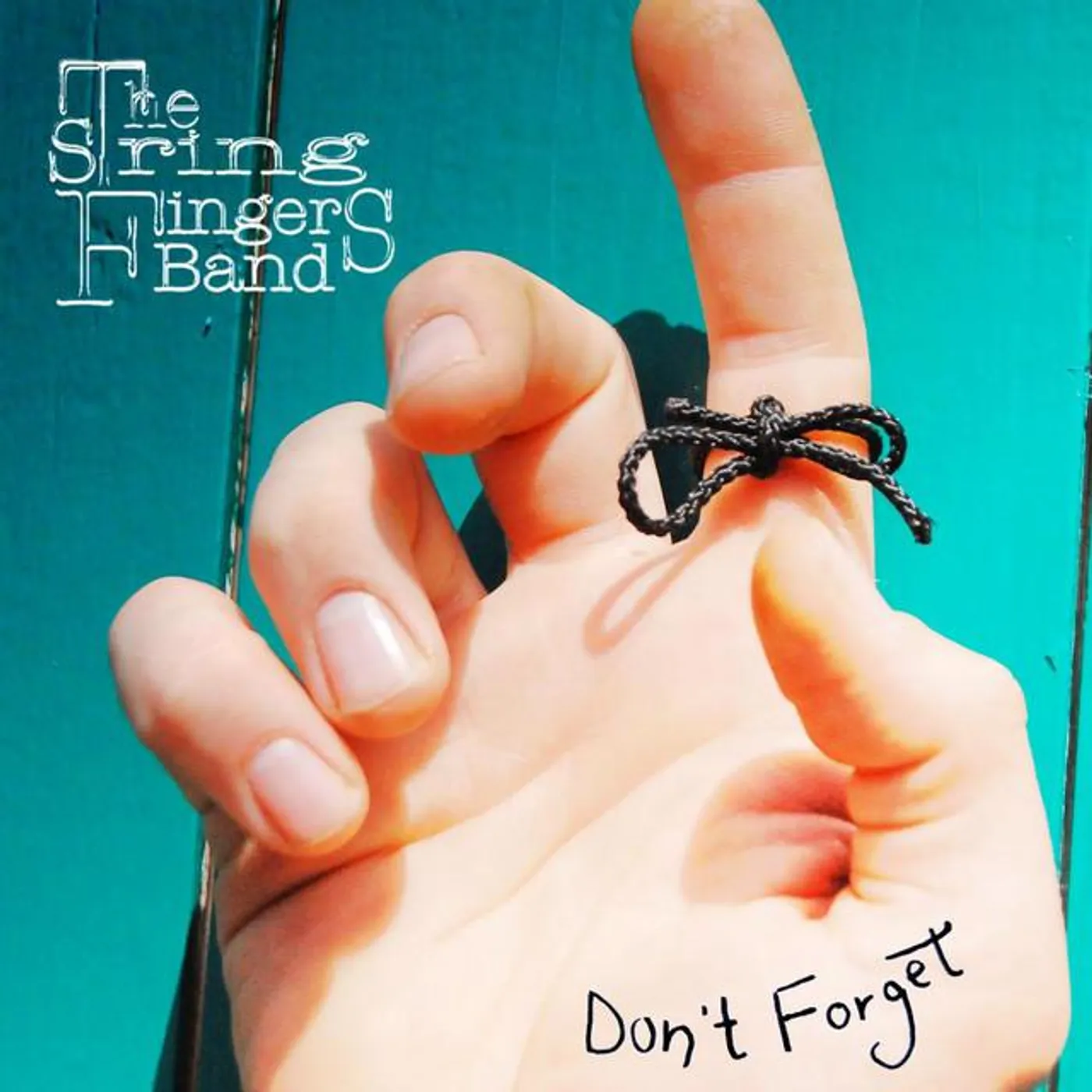 The String Fingers Band