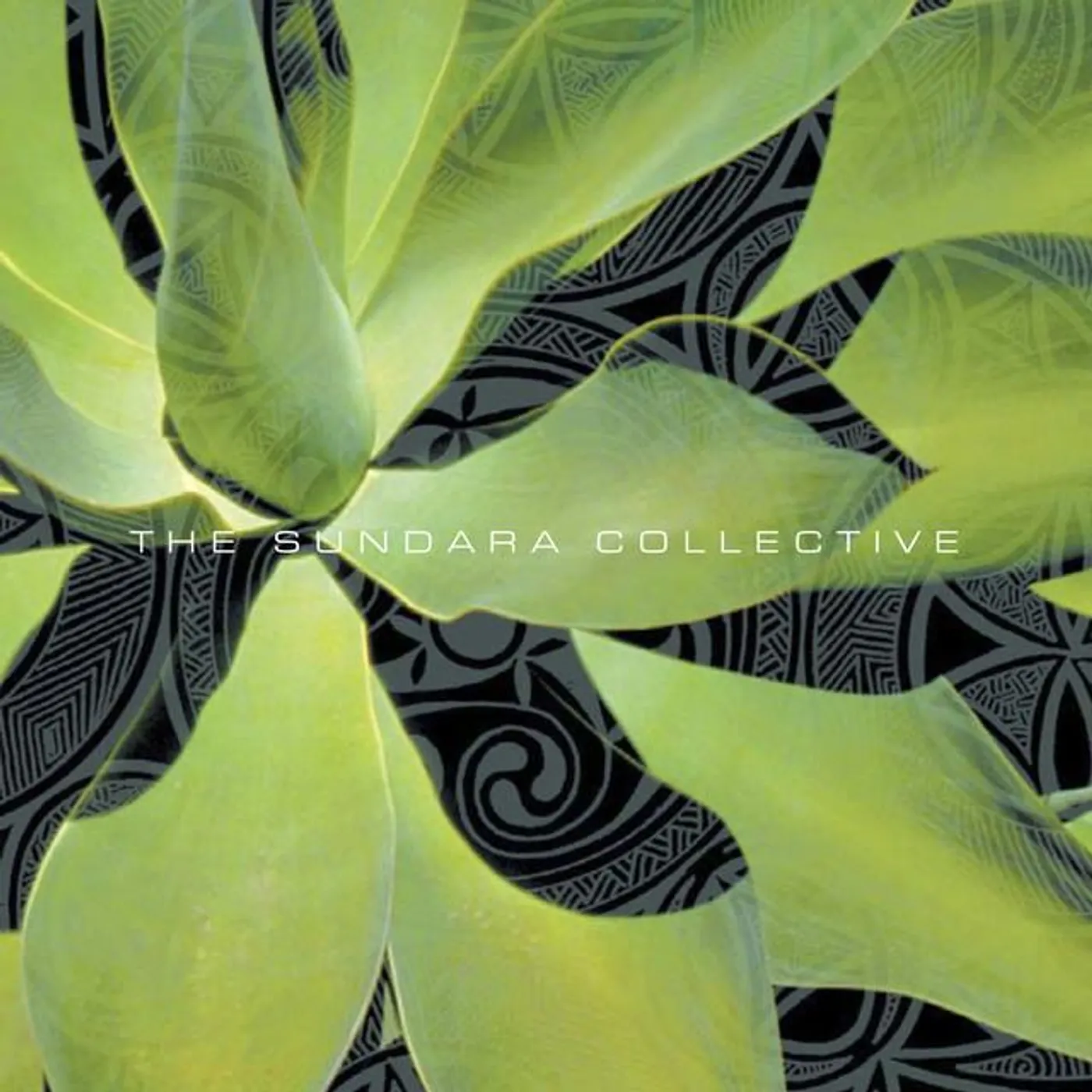 The Sundara Collective Brand Page