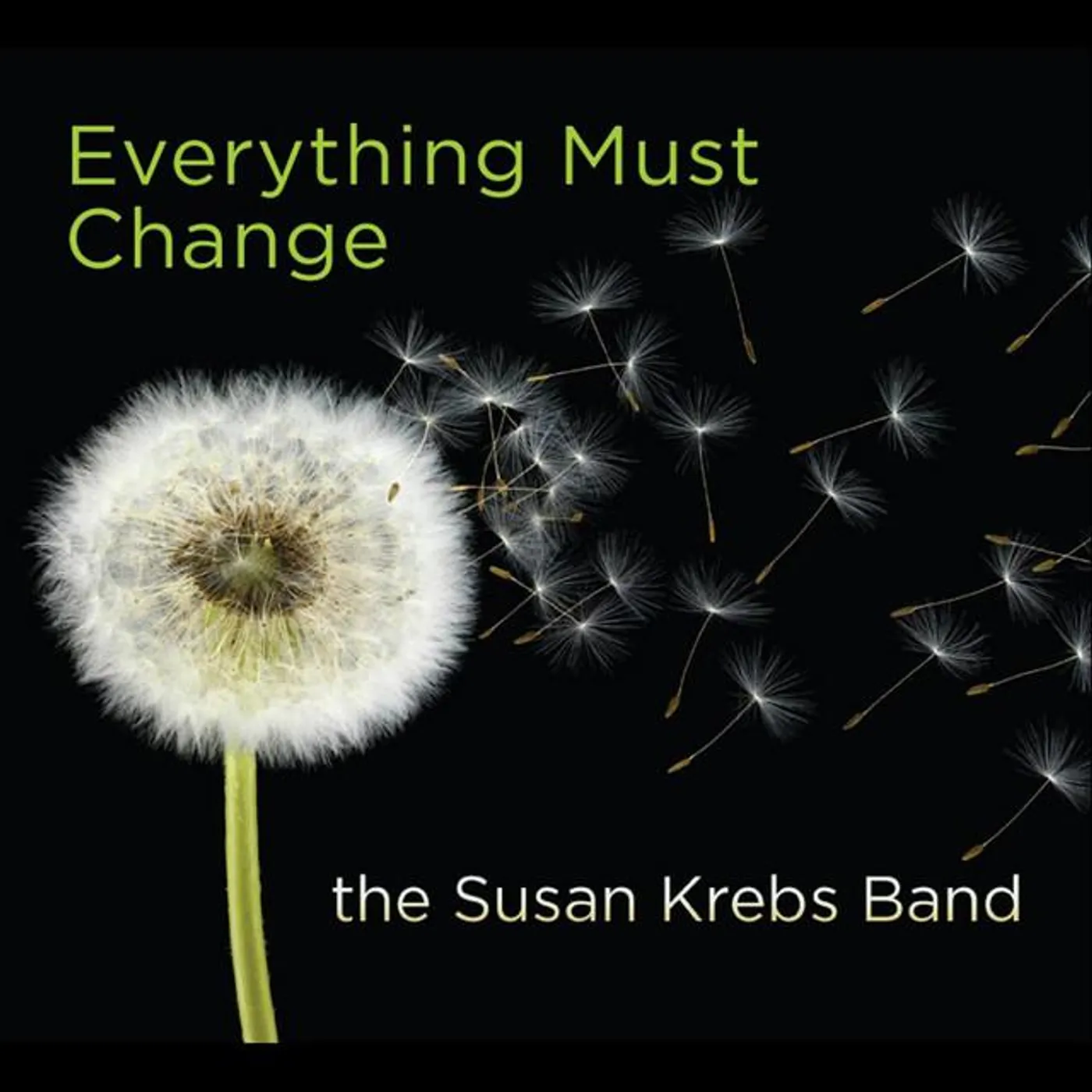 The Susan Krebs Band