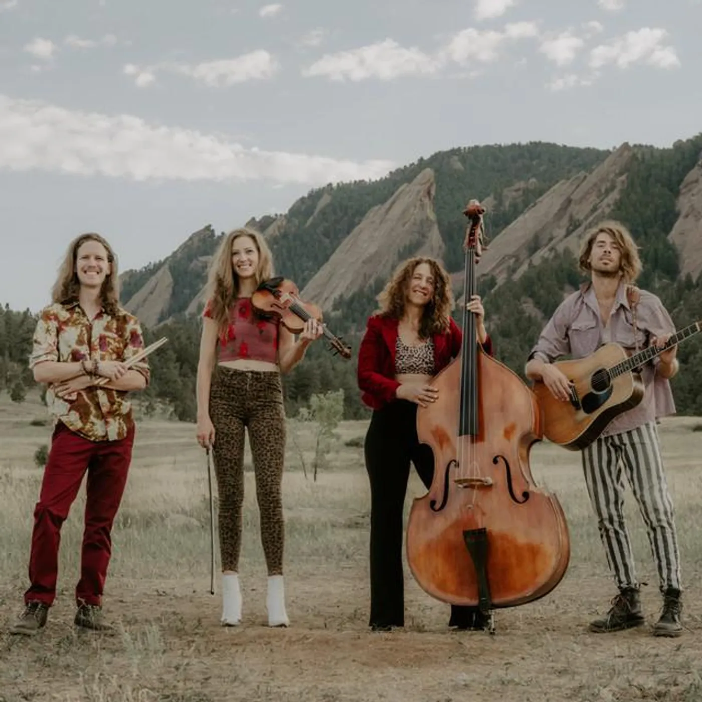 The Sweet Lillies