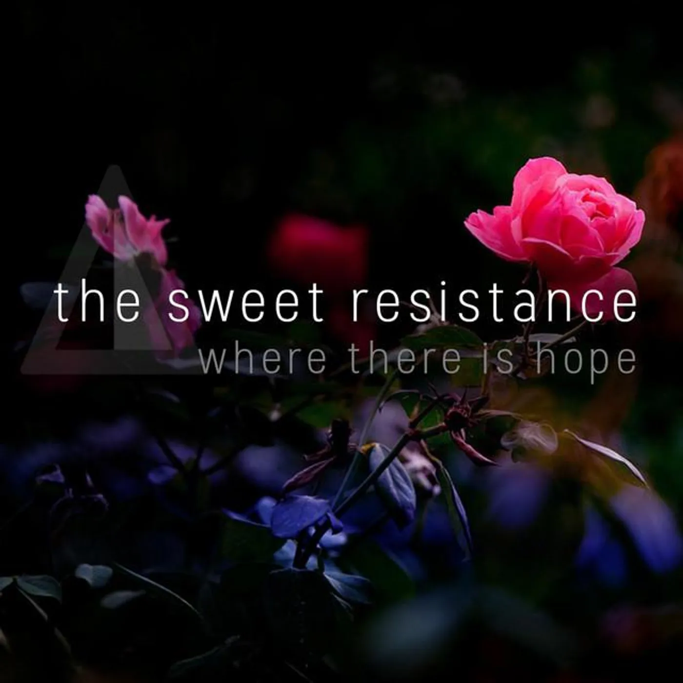 The Sweet Resistance