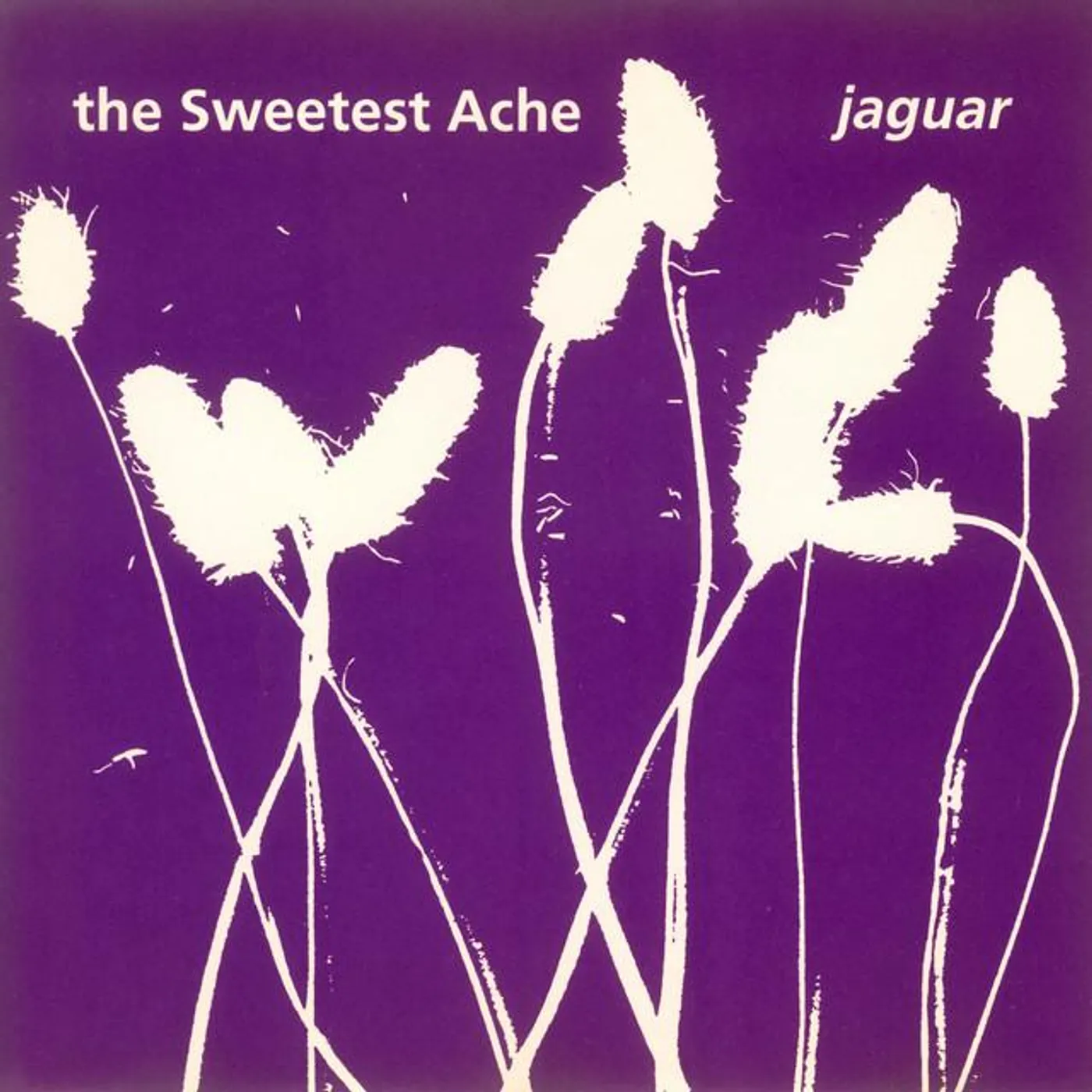The Sweetest Ache