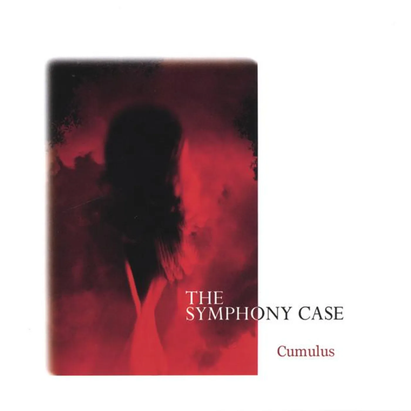 The Symphony Case Brand Page