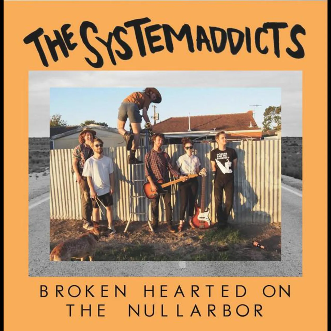 The Systemaddicts