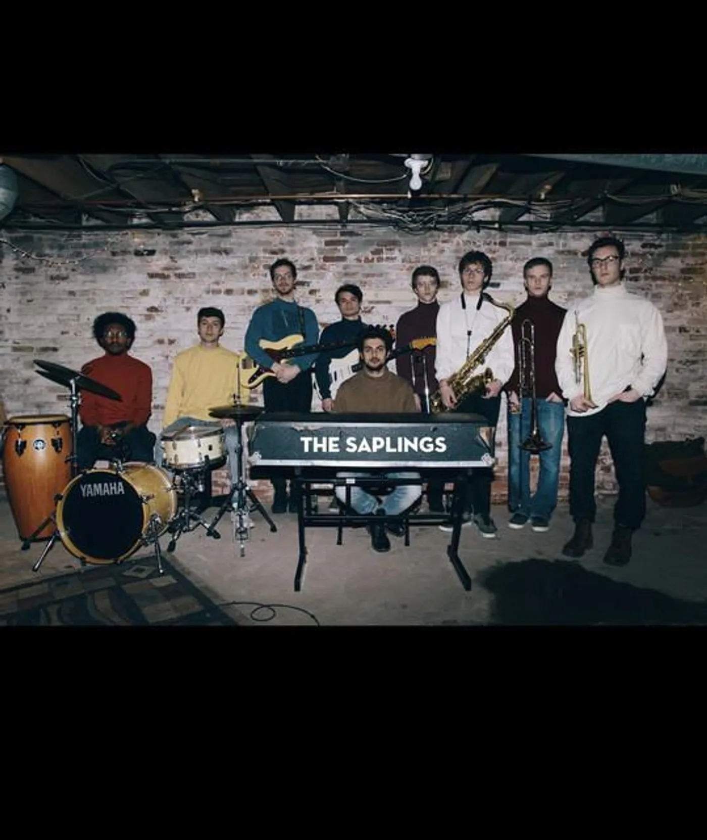 The Saplings