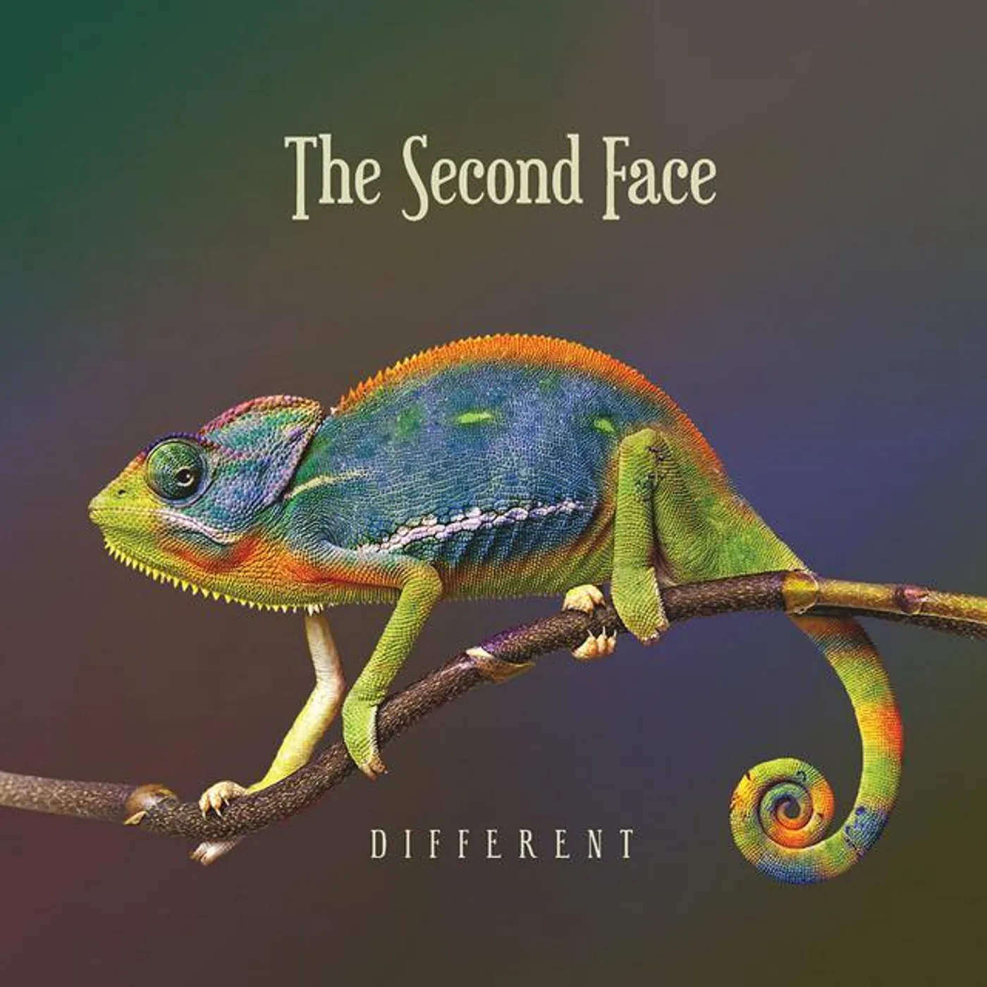 The Second Face