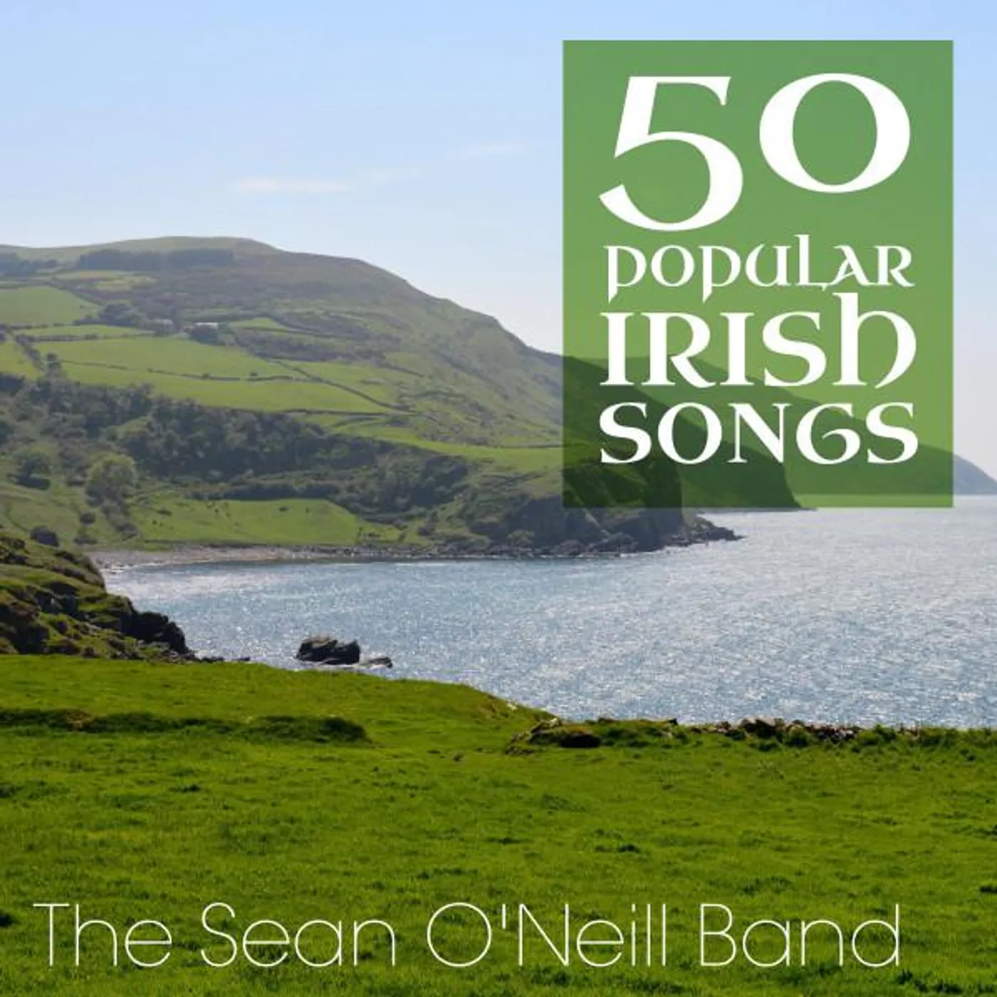 The Sean O'Neill Band