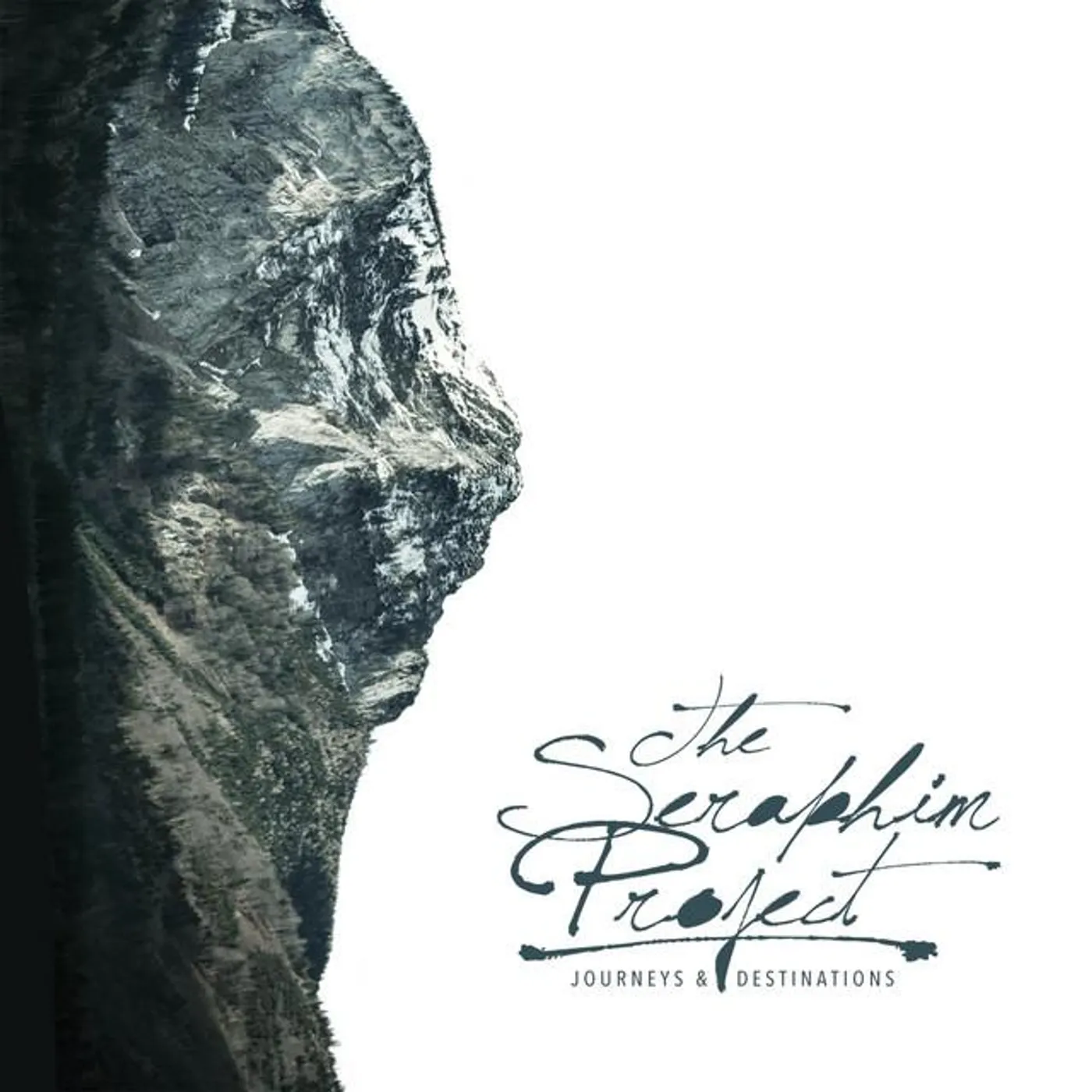 The Seraphim Project