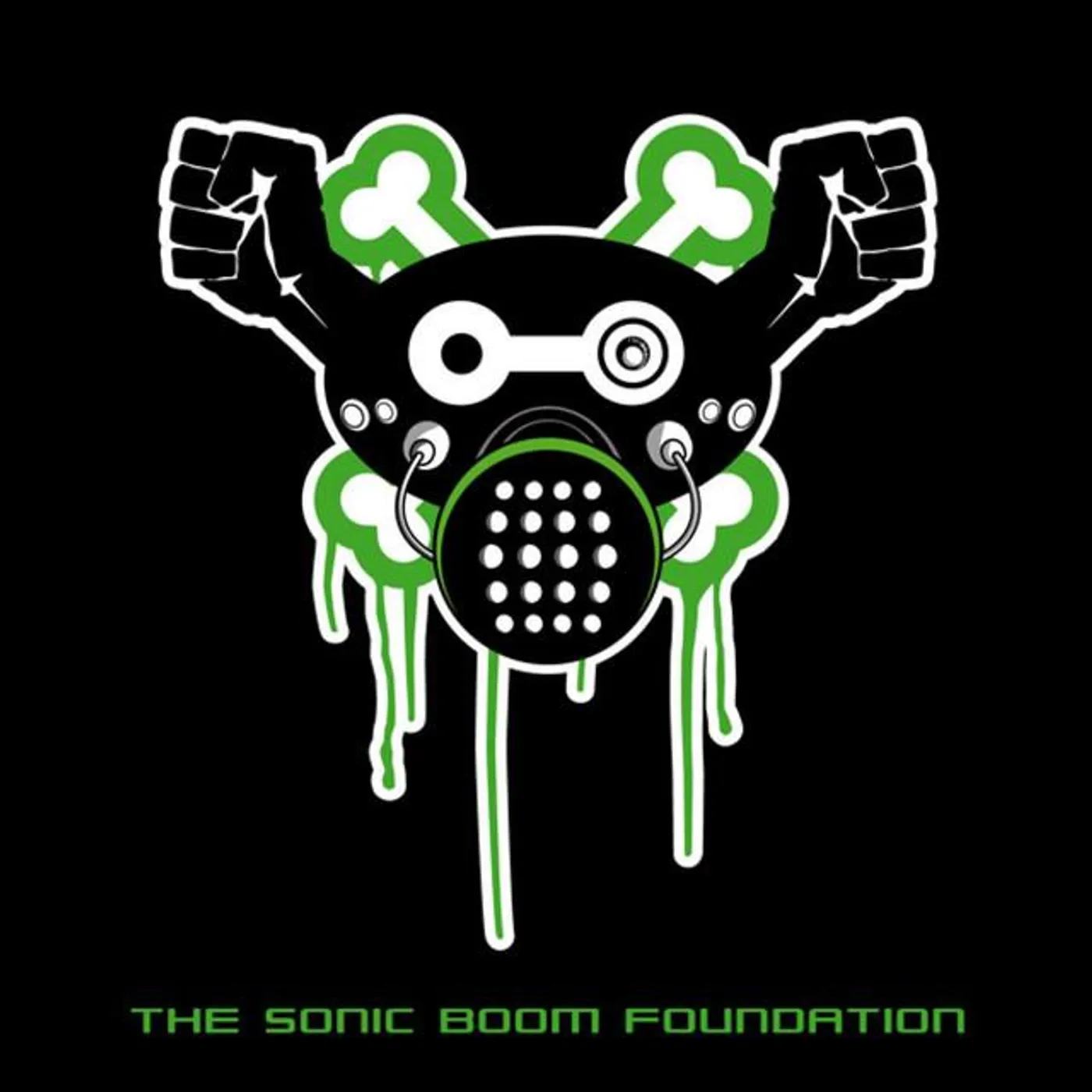 The Sonic Boom Foundation