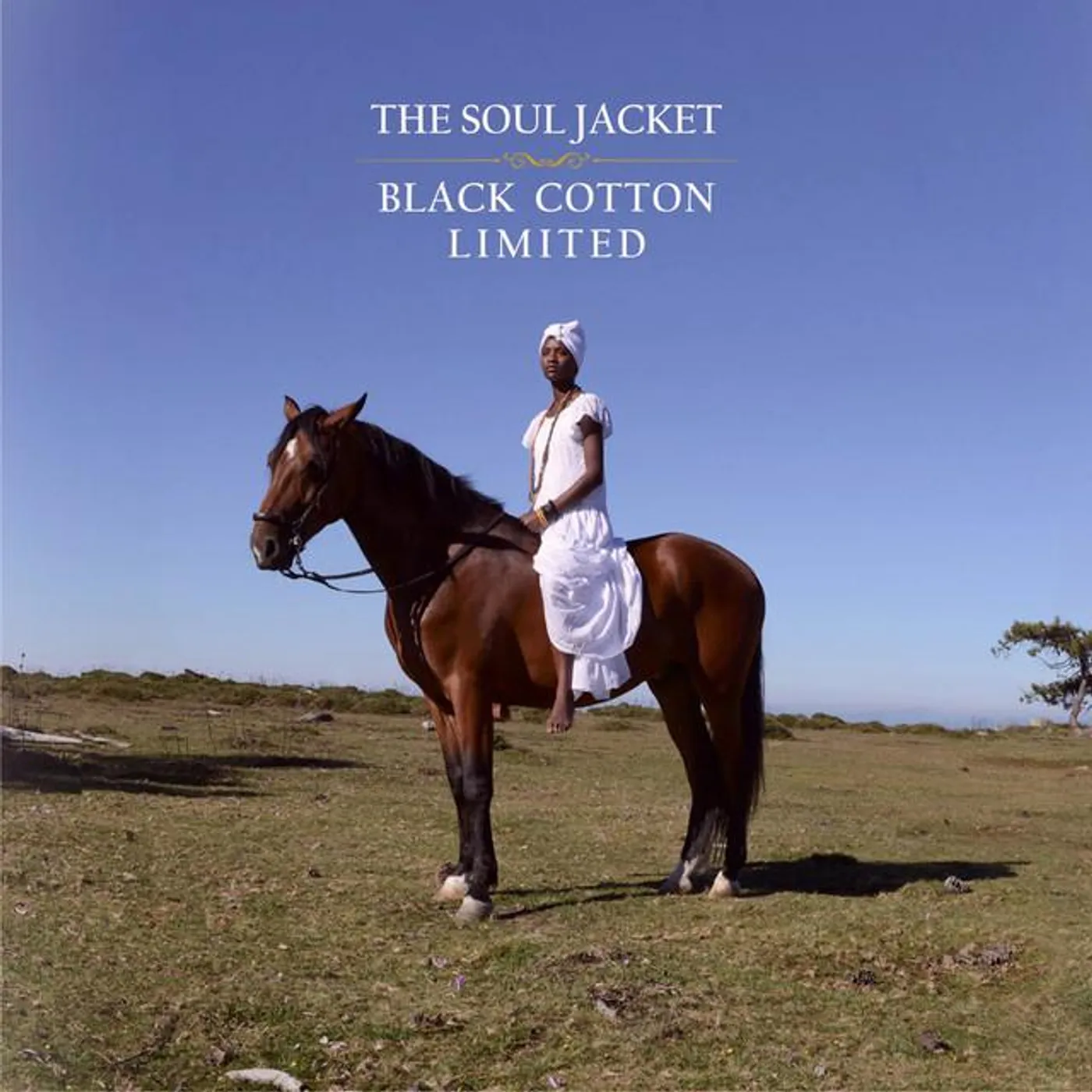 The Soul Jacket Brand Page