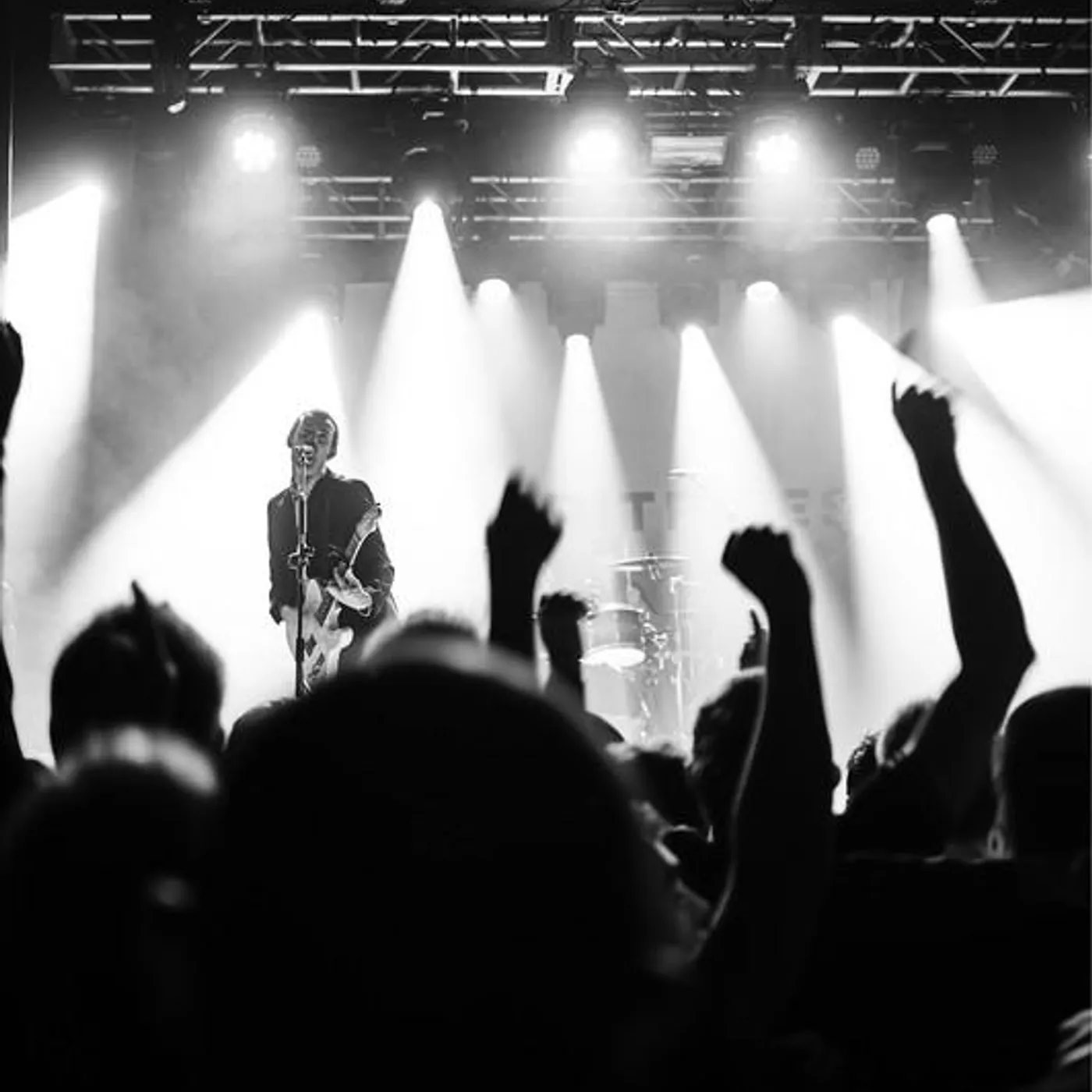 The Spitfires Brand Page