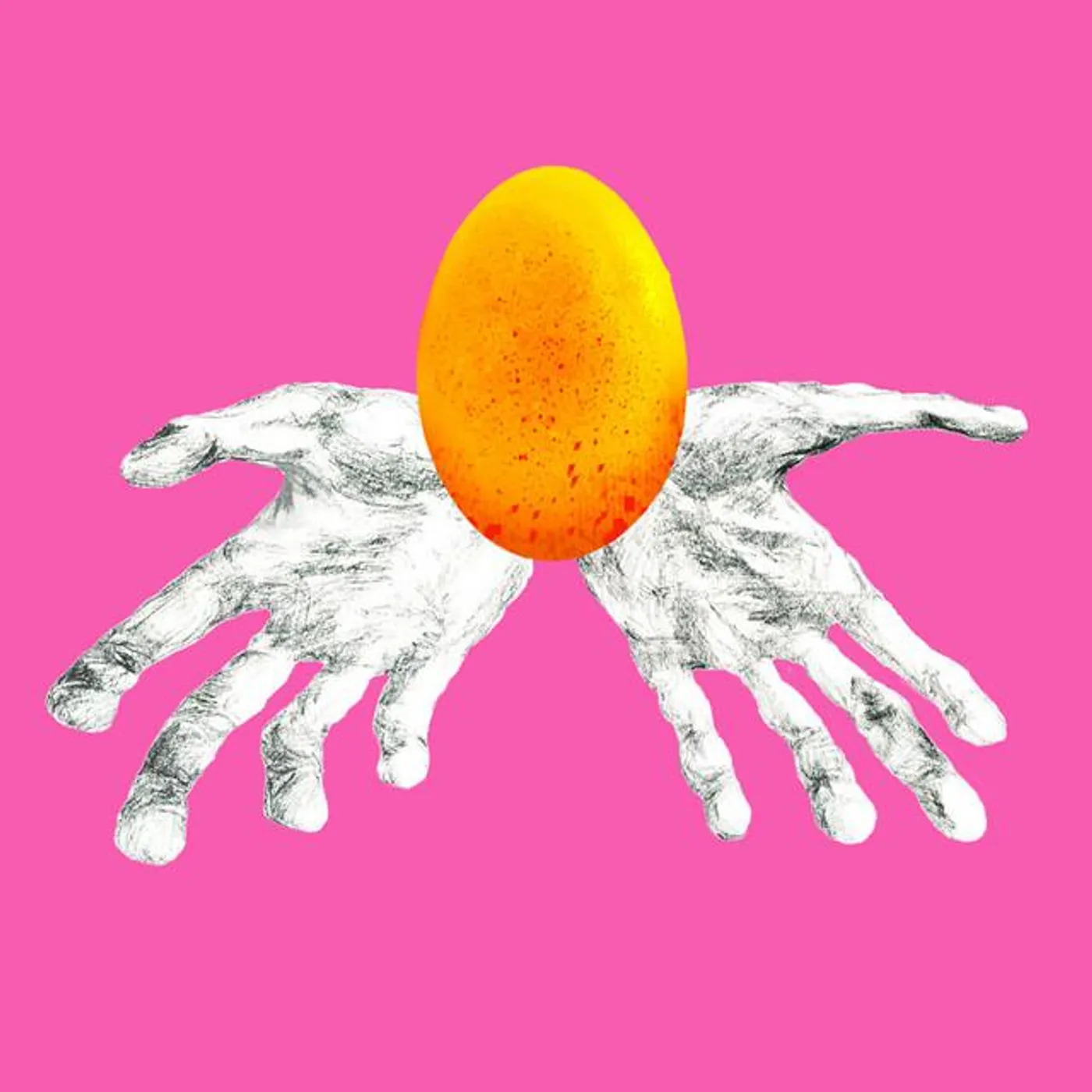 The Spolkestra Brand Page