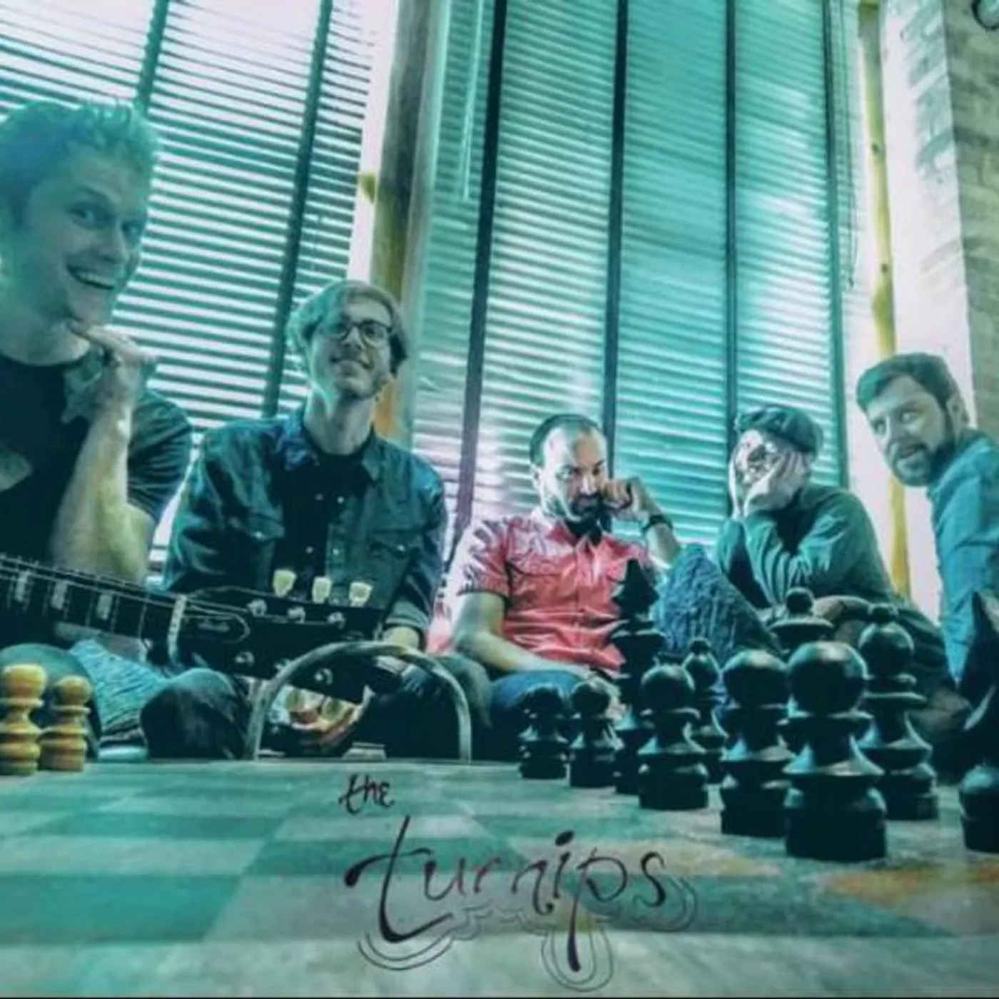 The Turnips