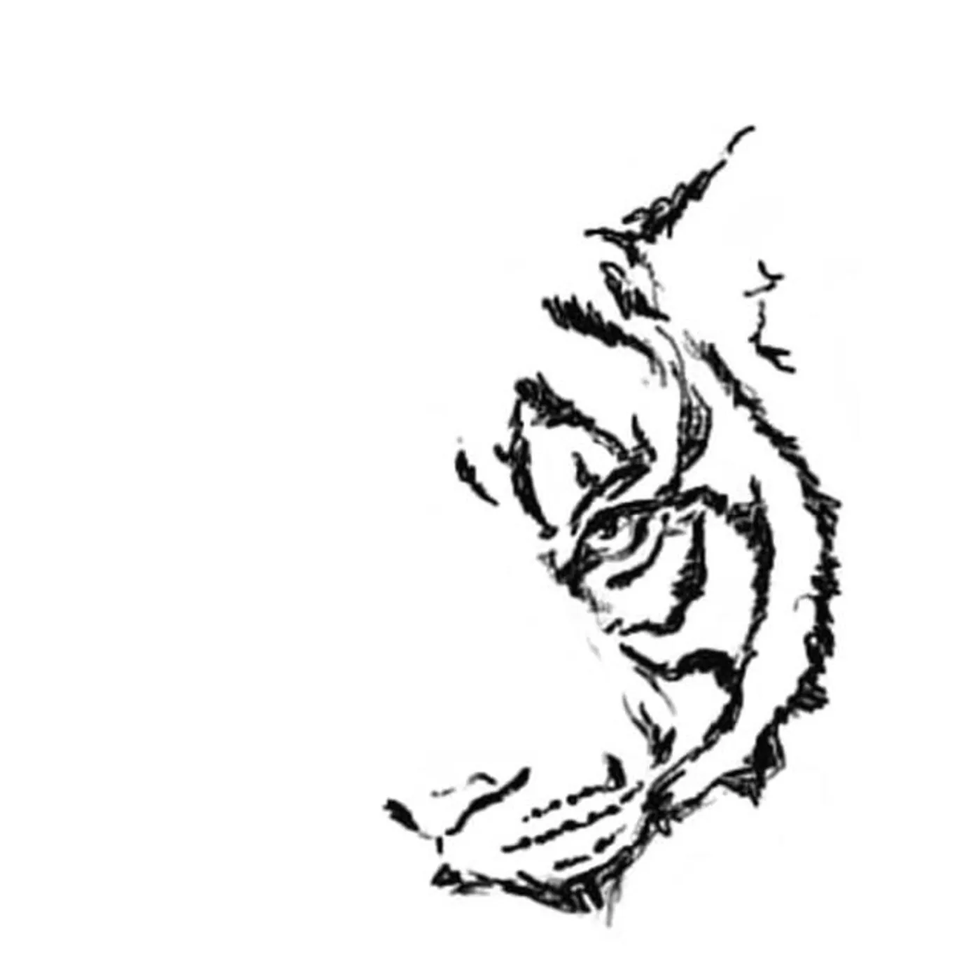 The Tiger & Me Brand Page