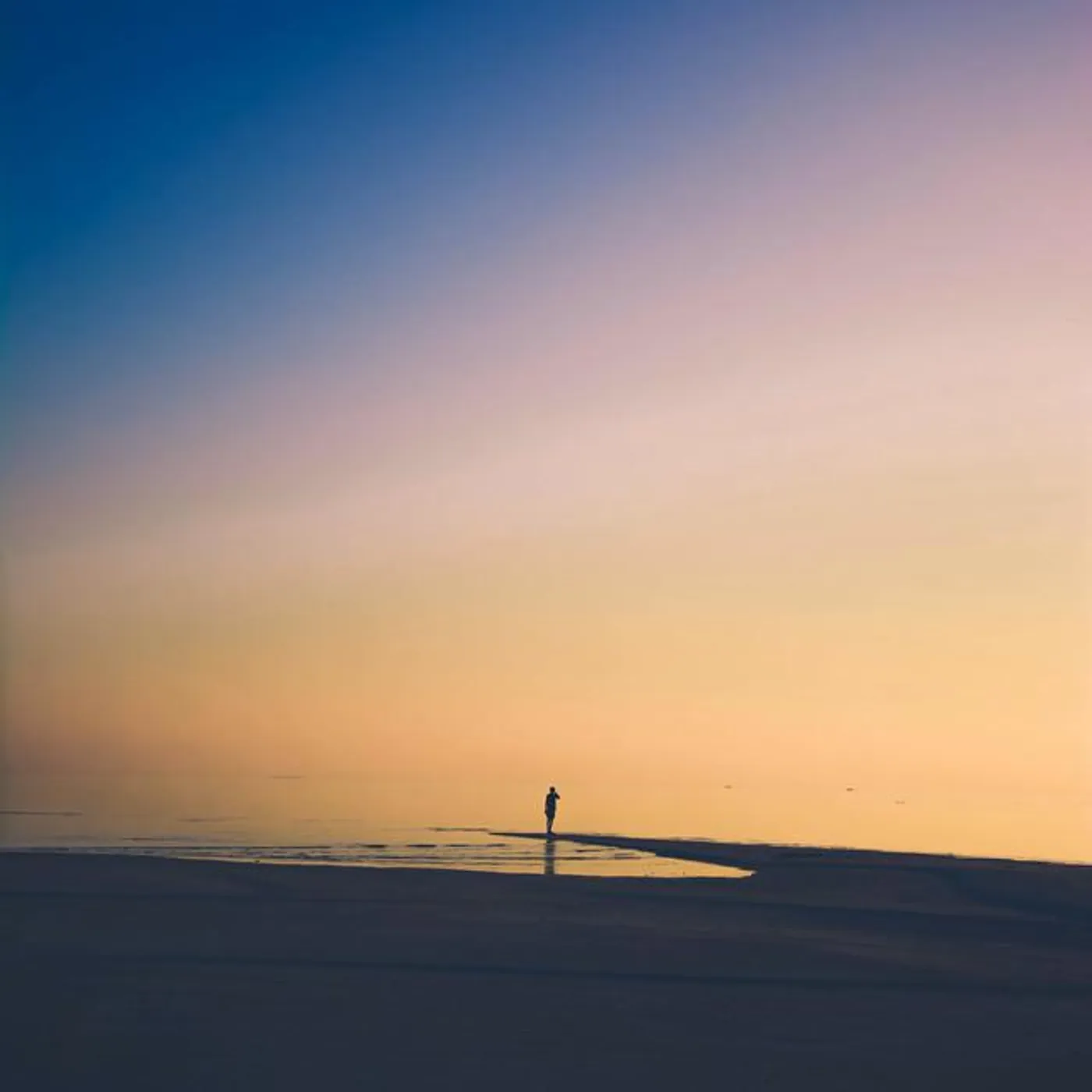 The Tides