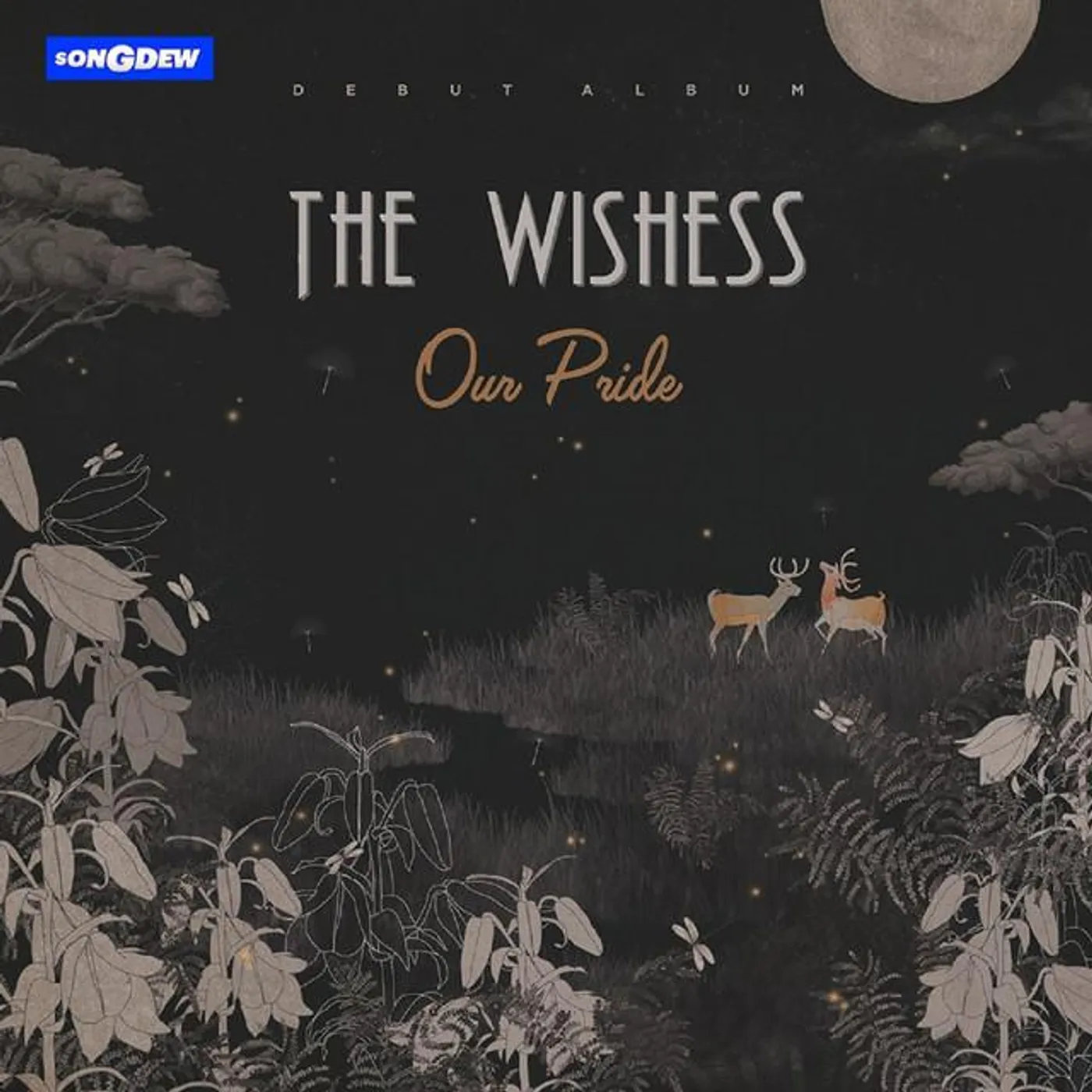 The Wishess