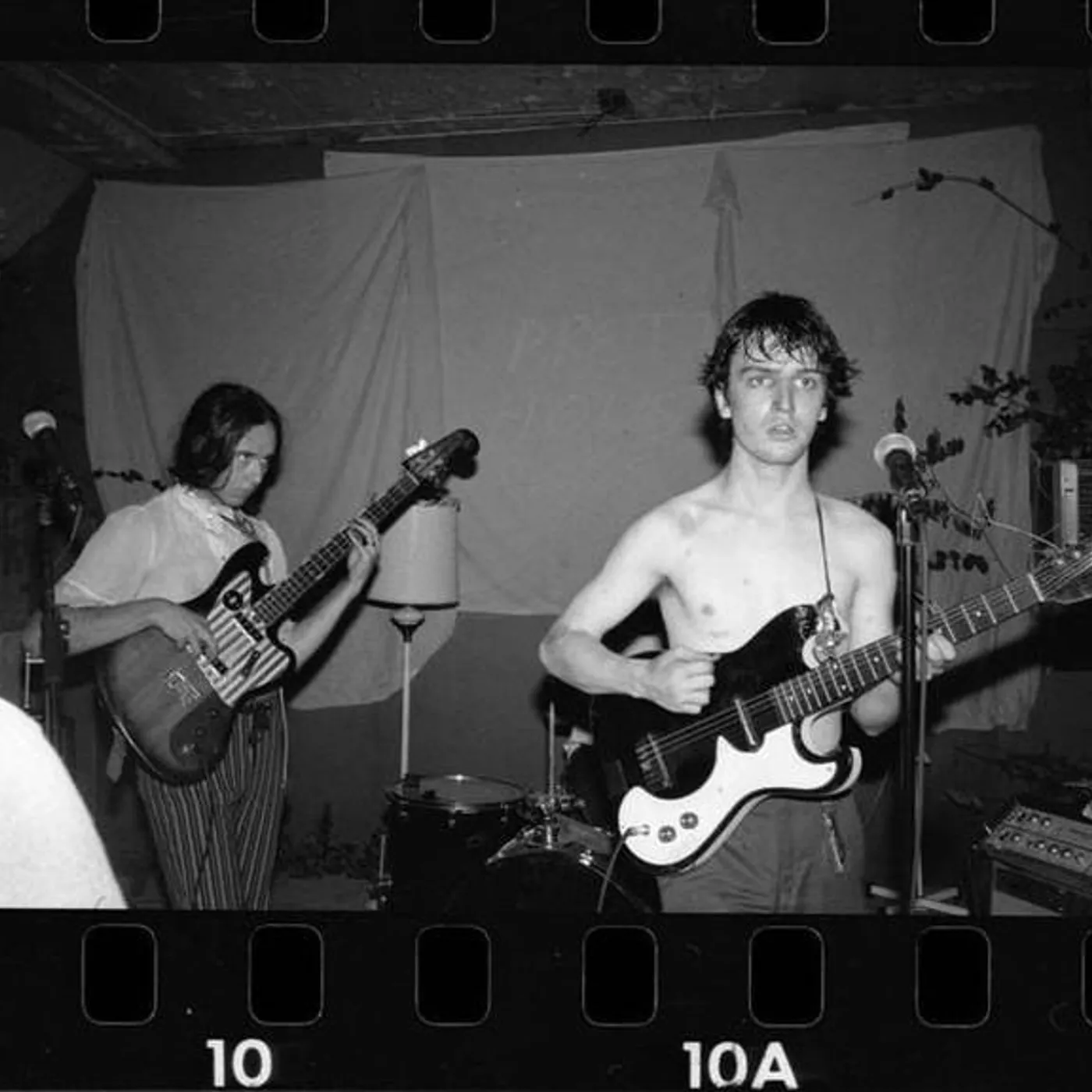 The Zygotes
