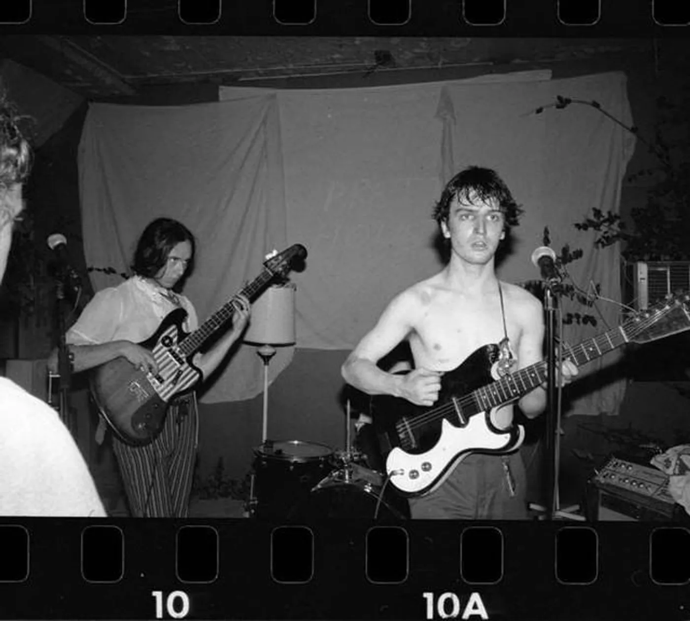 The Zygotes