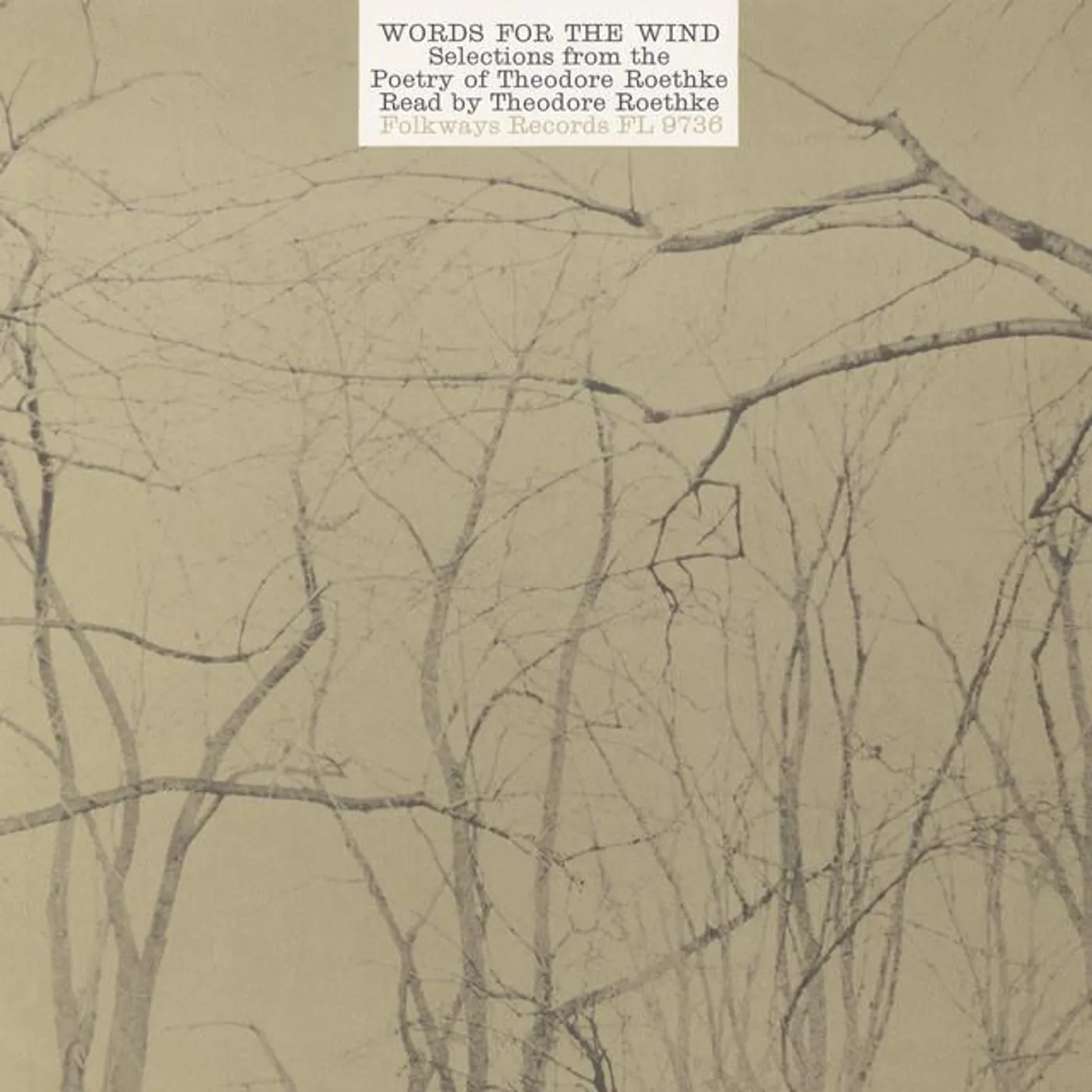 Theodore Roethke Brand Page
