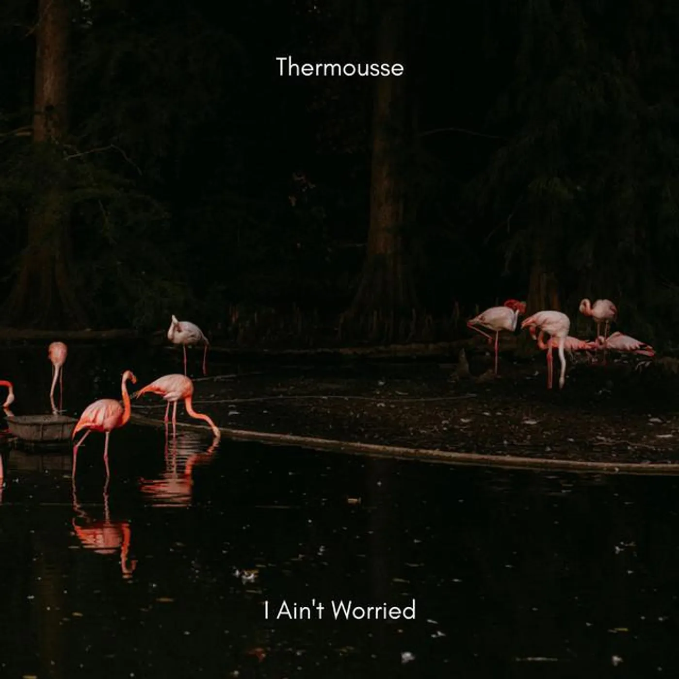 Thermousse