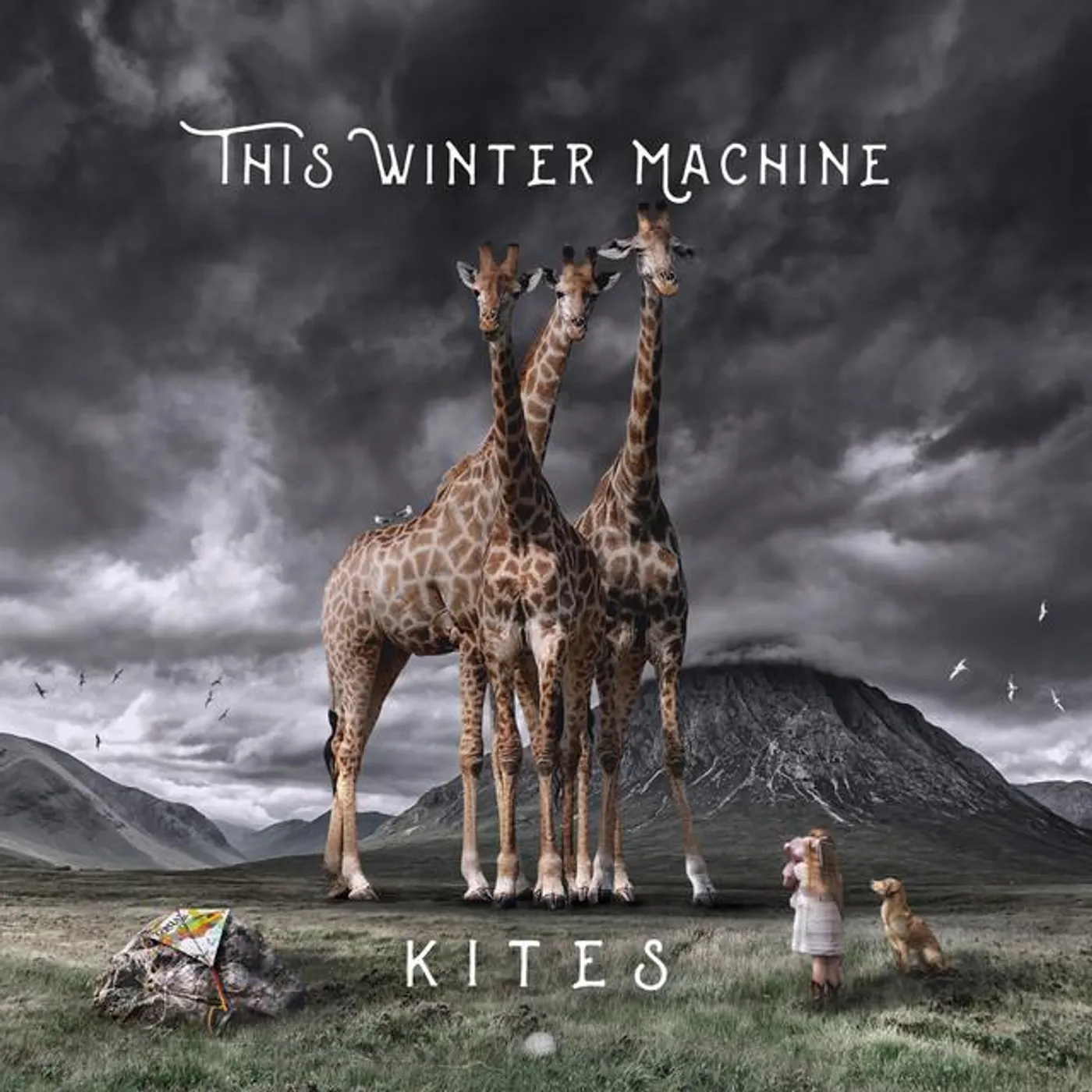 This Winter Machine Brand Page