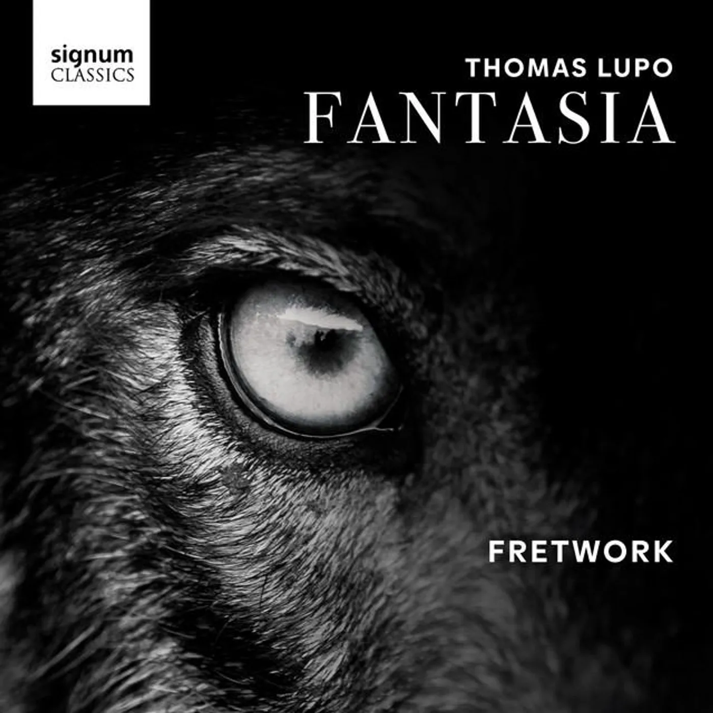 Thomas Lupo