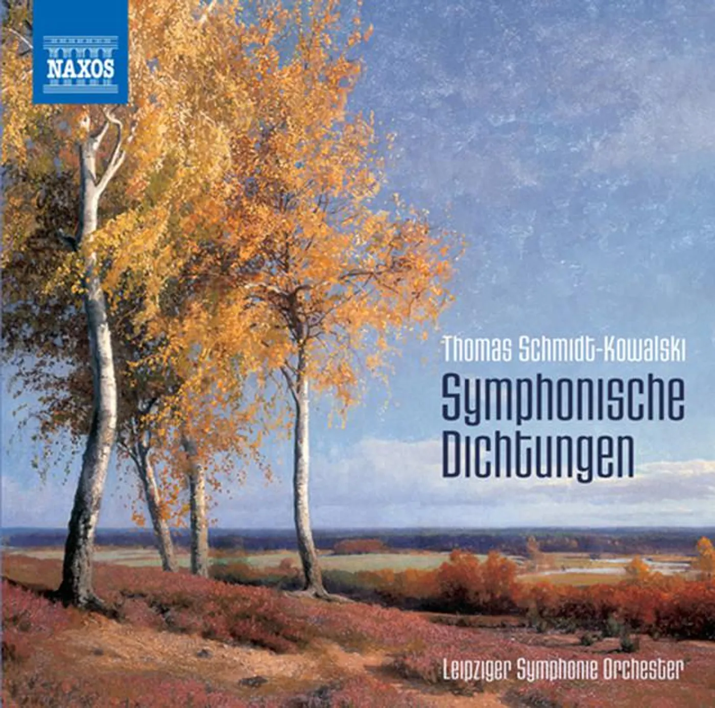 Thomas Schmidt-Kowalski